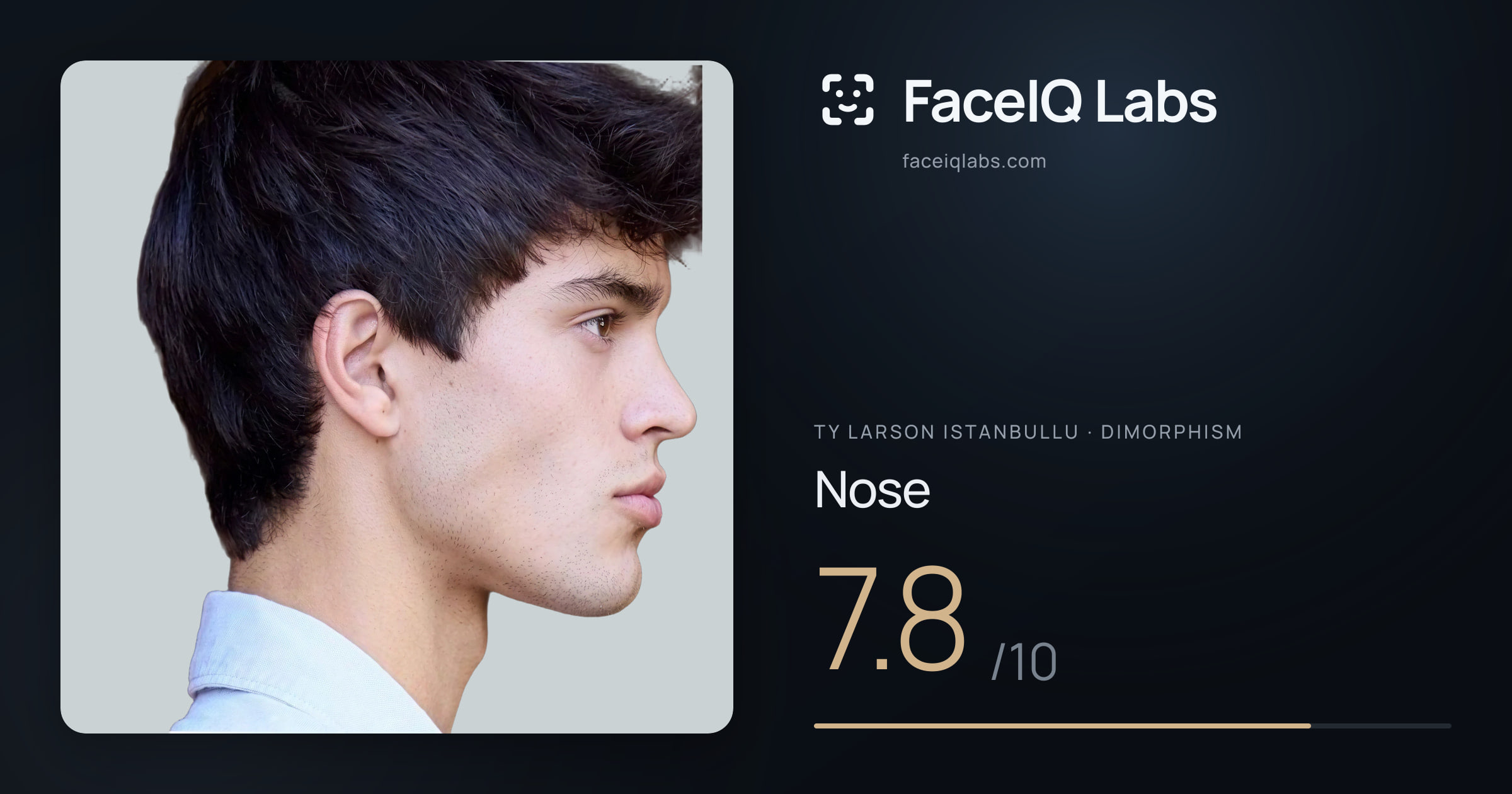 Ty Larson Istanbullu Nose: 7.8/10, drawn on the photo