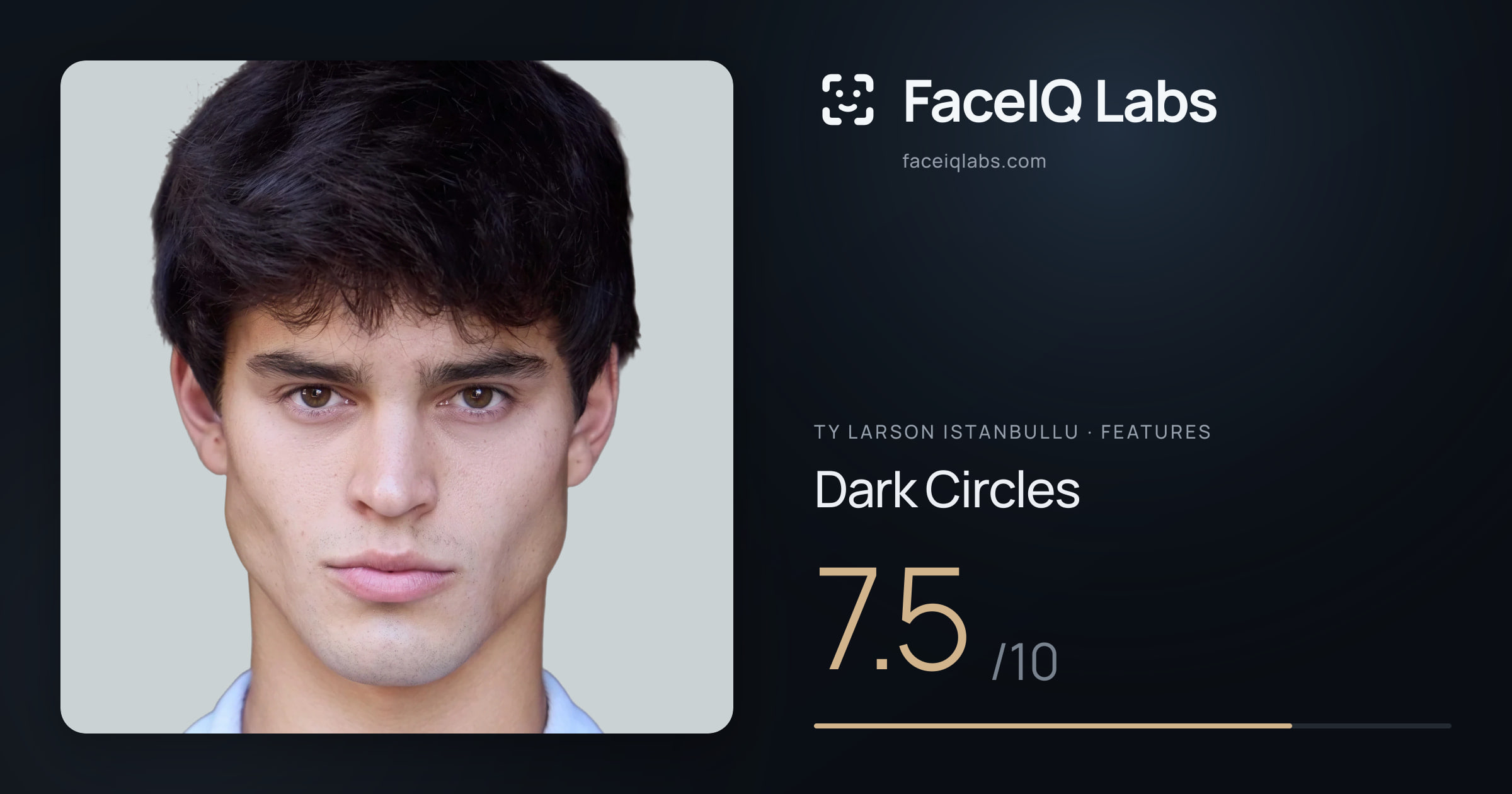 Ty Larson Istanbullu Dark Circles: 7.5/10, drawn on the photo