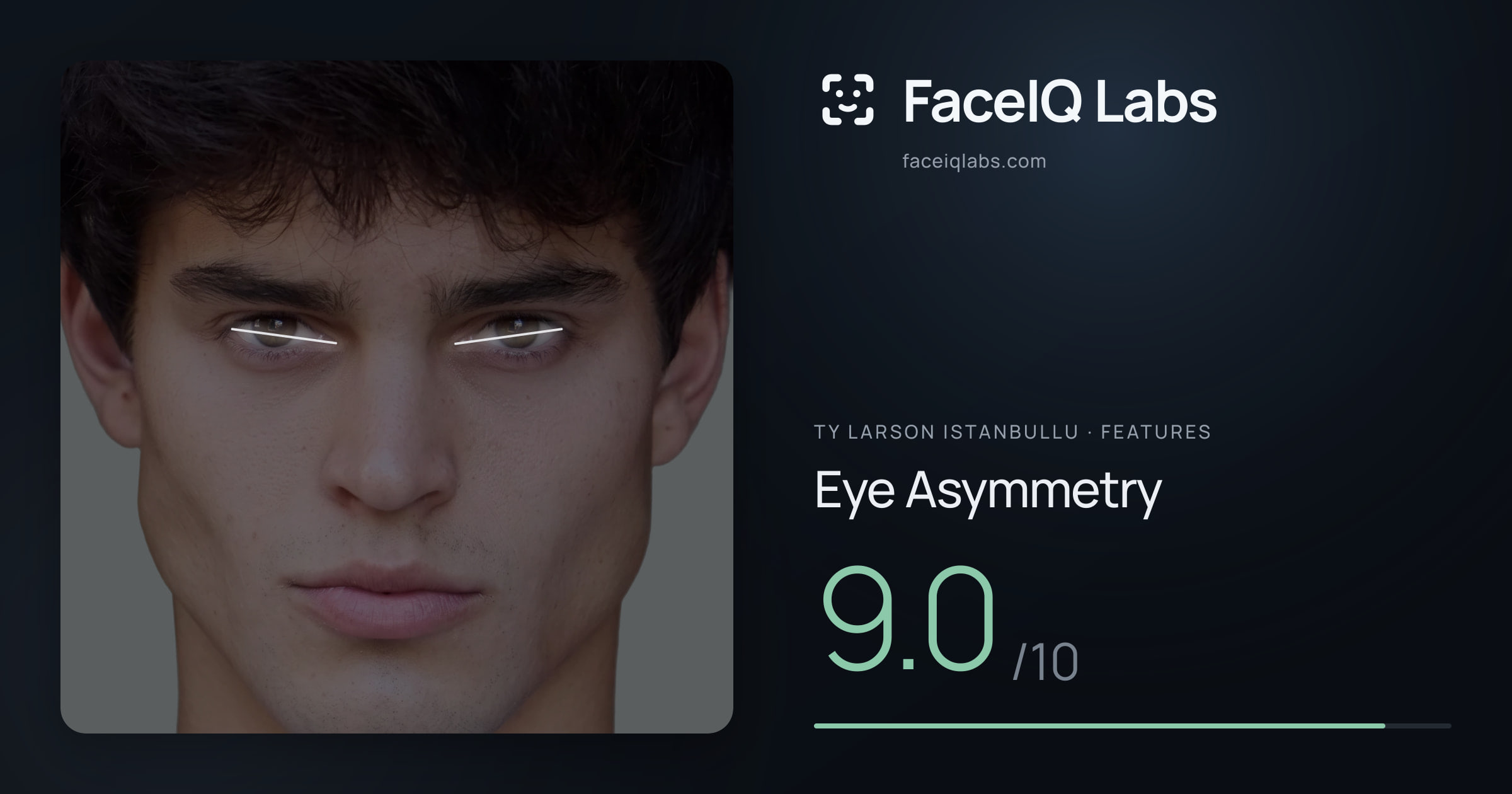 Ty Larson Istanbullu Eye Asymmetry: 9.0/10, drawn on the photo
