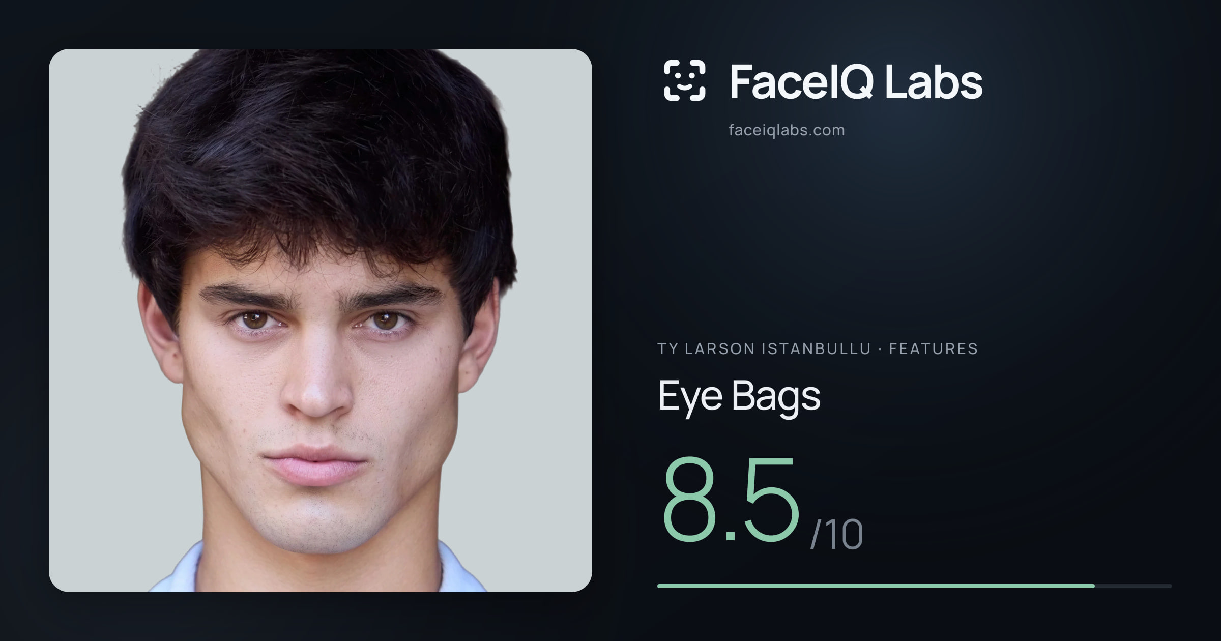 Ty Larson Istanbullu Eye Bags: 8.5/10, drawn on the photo