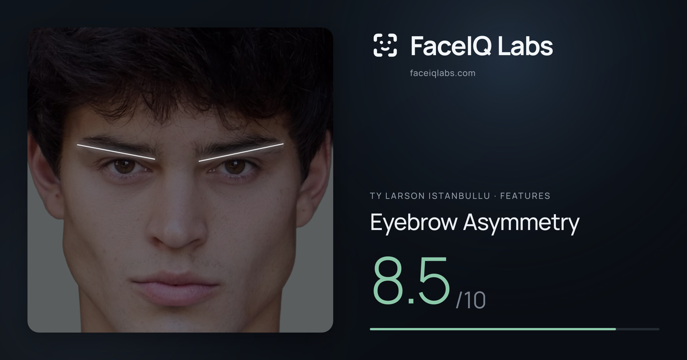 Ty Larson Istanbullu Eyebrow Asymmetry: 8.5/10, drawn on the photo