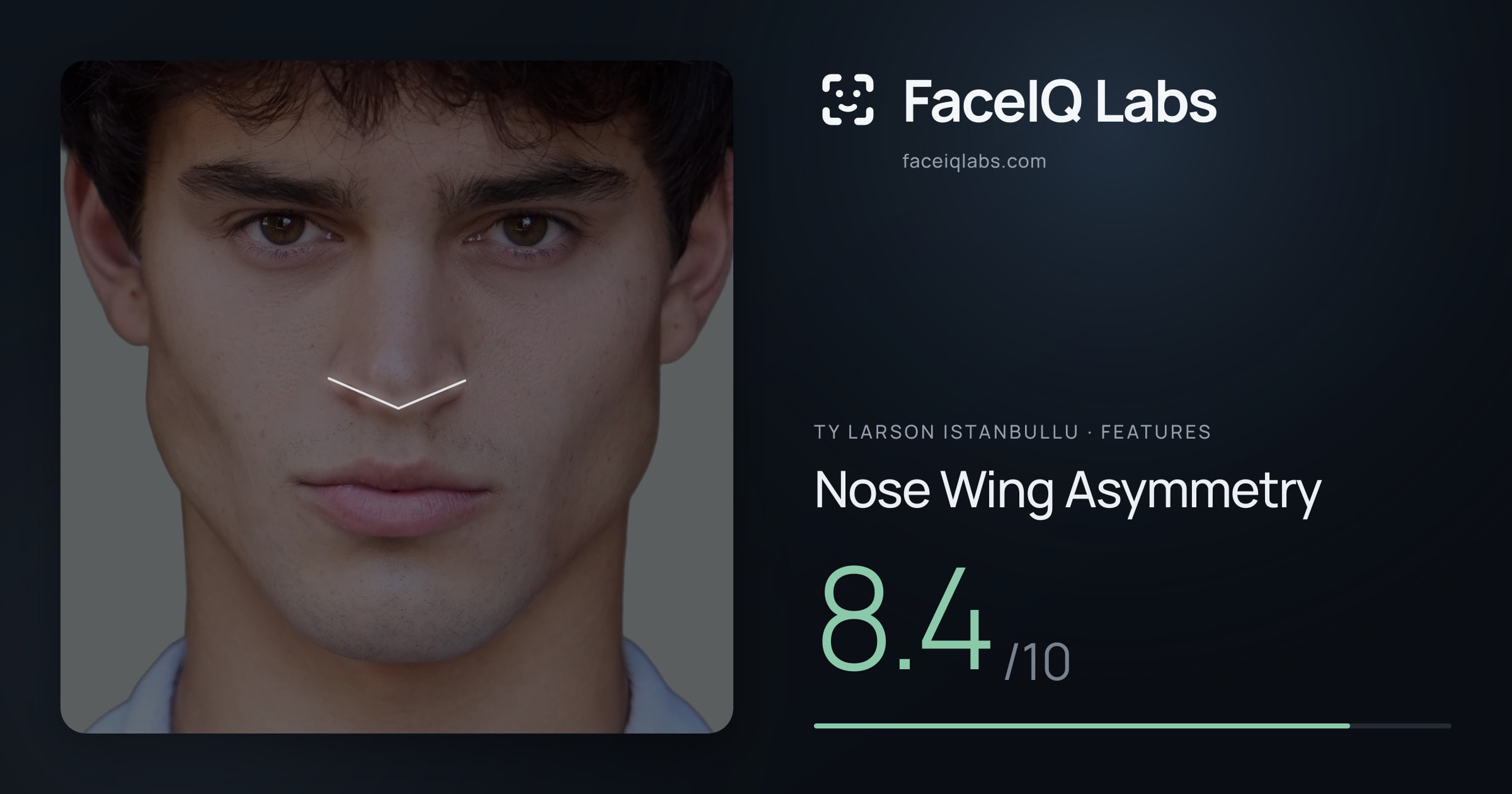 Ty Larson Istanbullu Nose Wing Asymmetry: 8.4/10, drawn on the photo