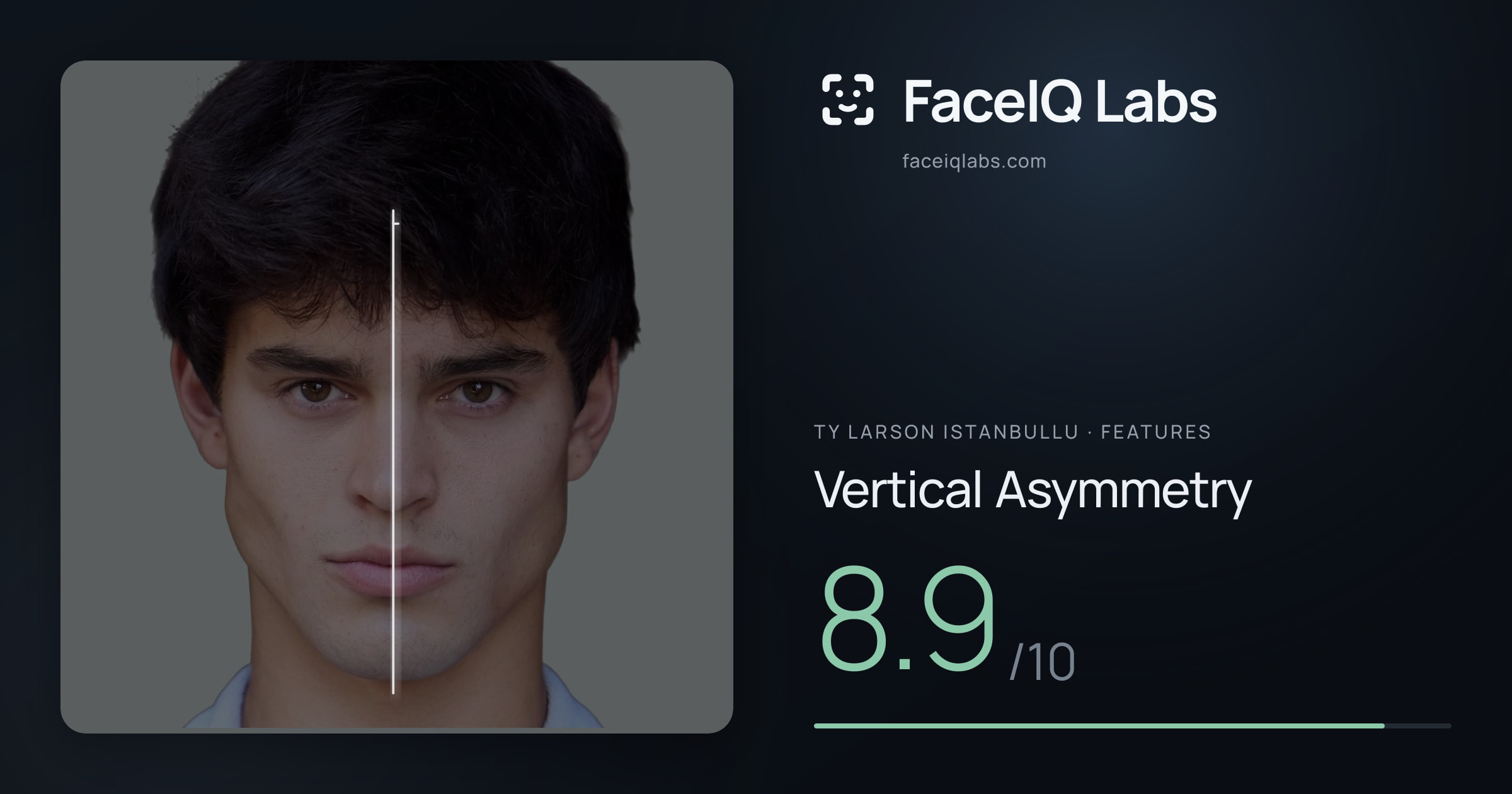 Ty Larson Istanbullu Vertical Asymmetry: 8.9/10, drawn on the photo
