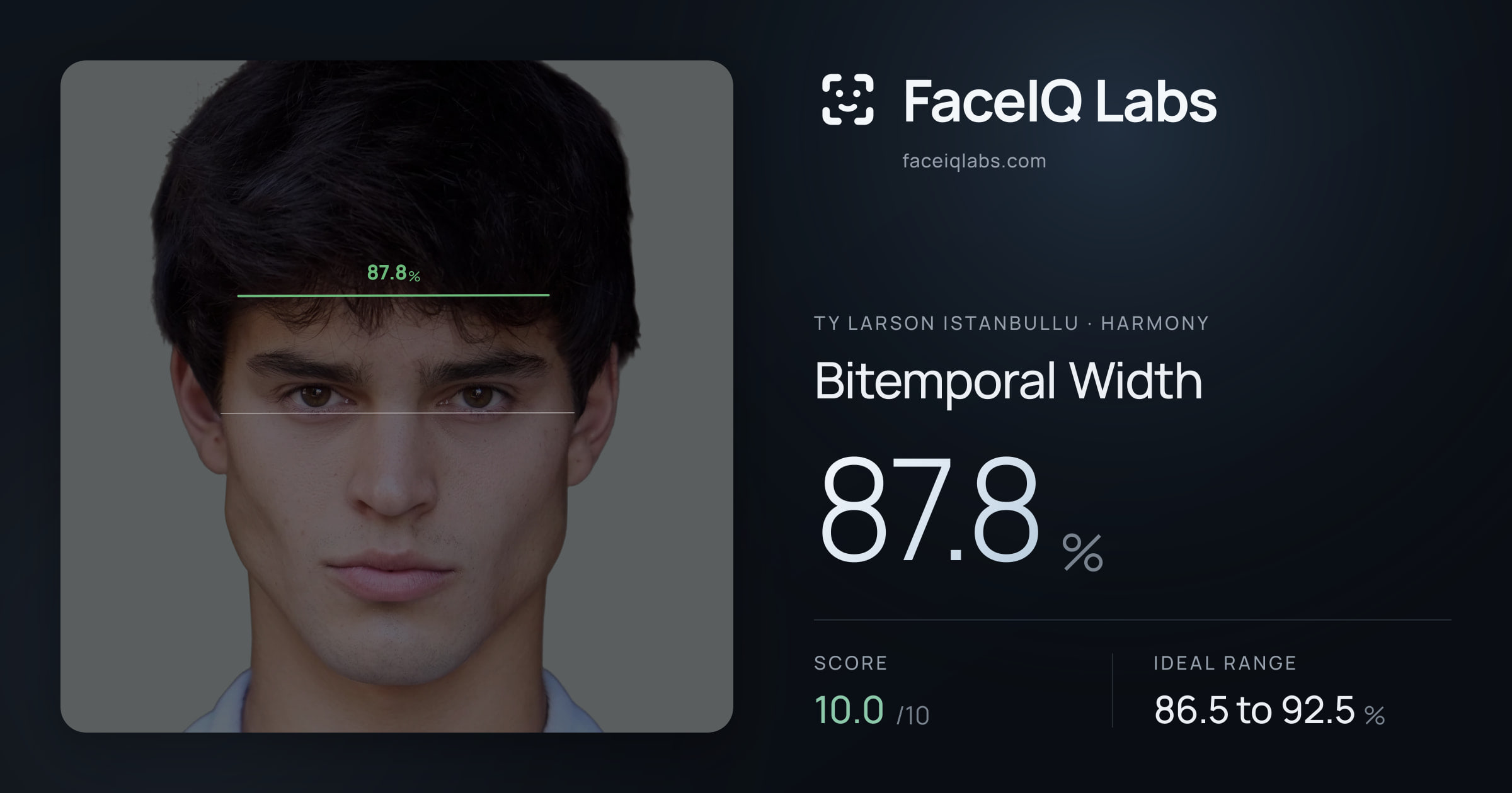 Ty Larson Istanbullu Bitemporal Width: 87.8%, drawn on the photo