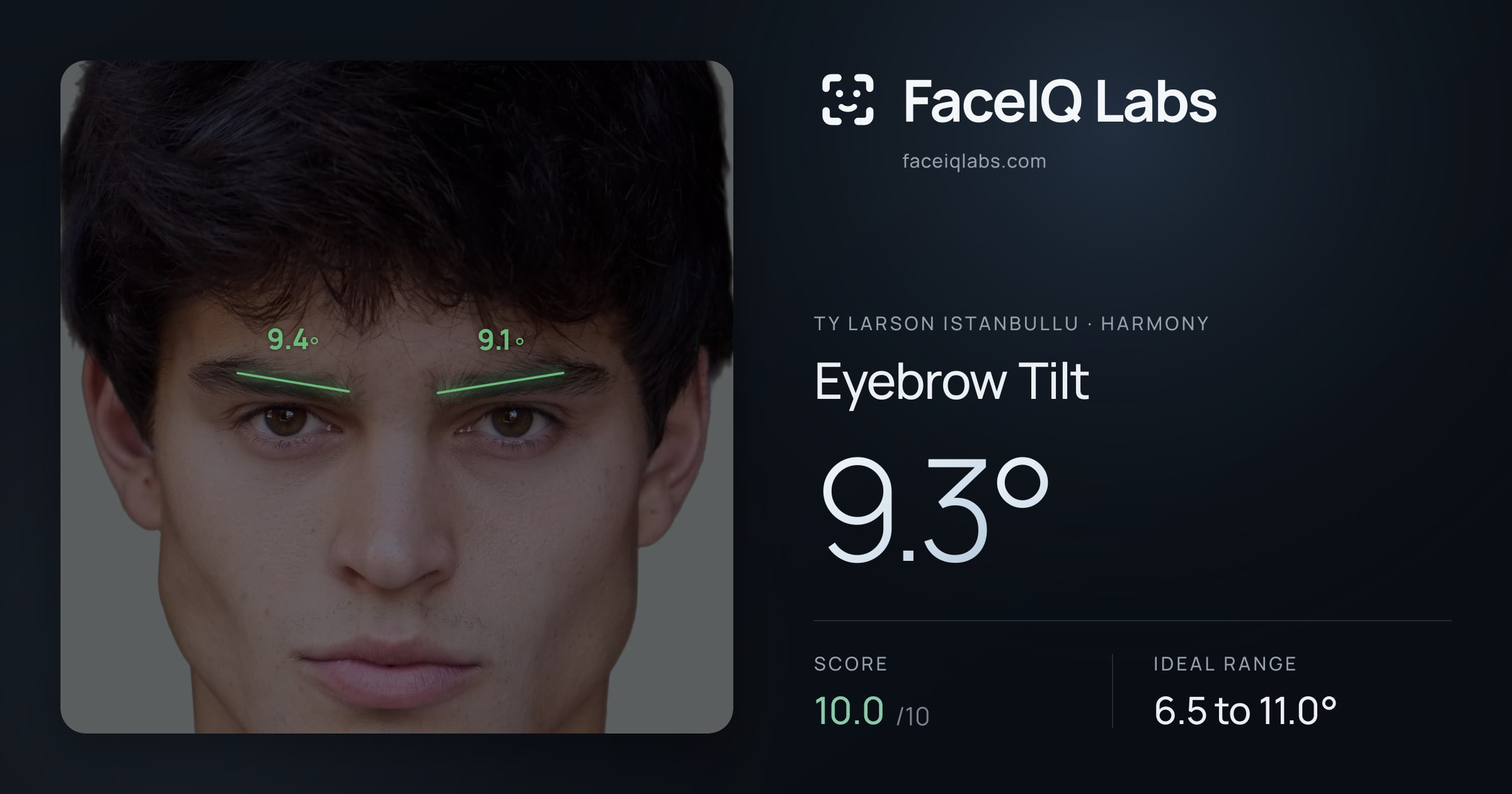 Ty Larson Istanbullu Eyebrow Tilt: 9.3°, drawn on the photo