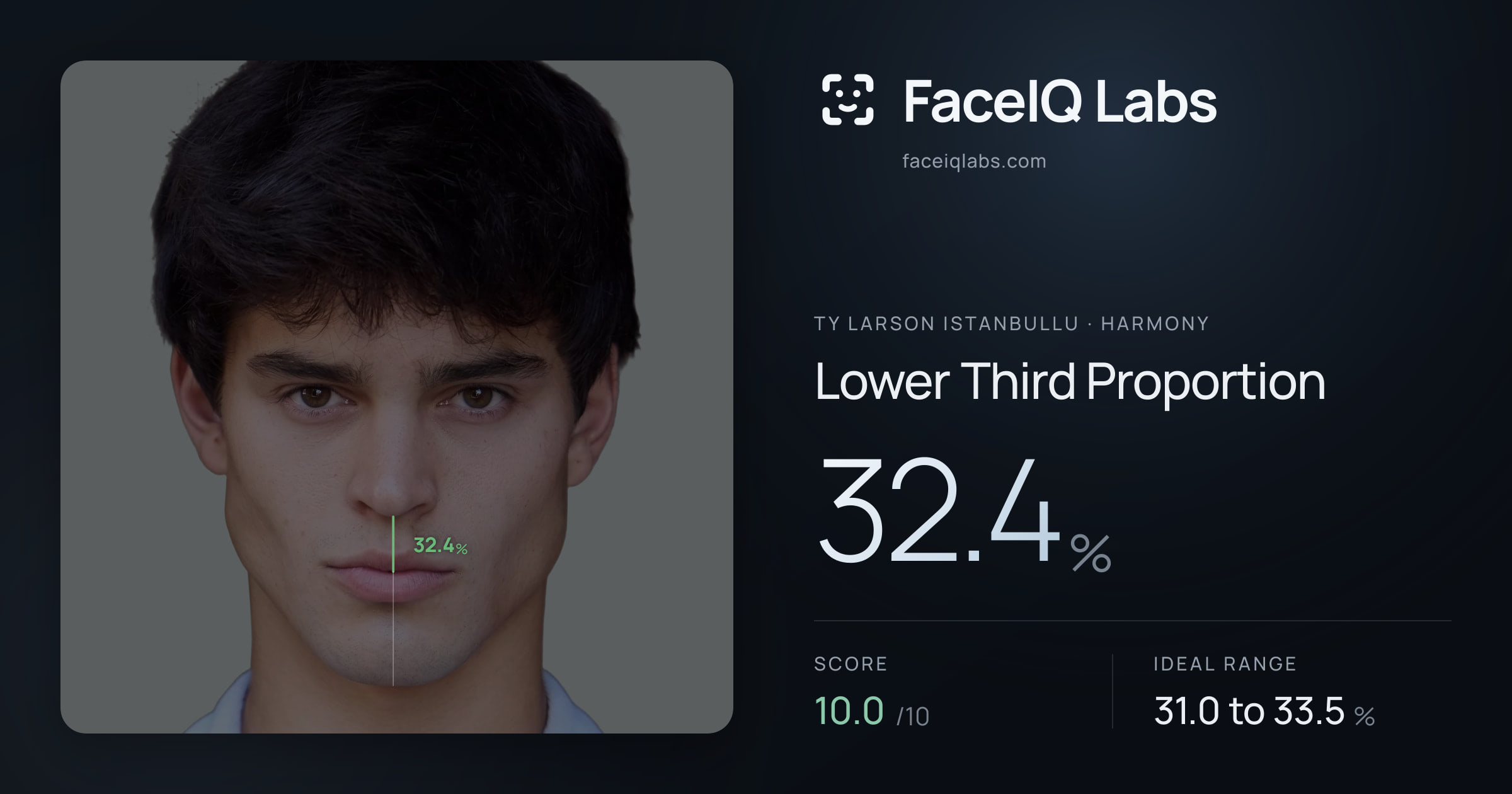 Ty Larson Istanbullu Lower Third Proportion: 32.4%, drawn on the photo