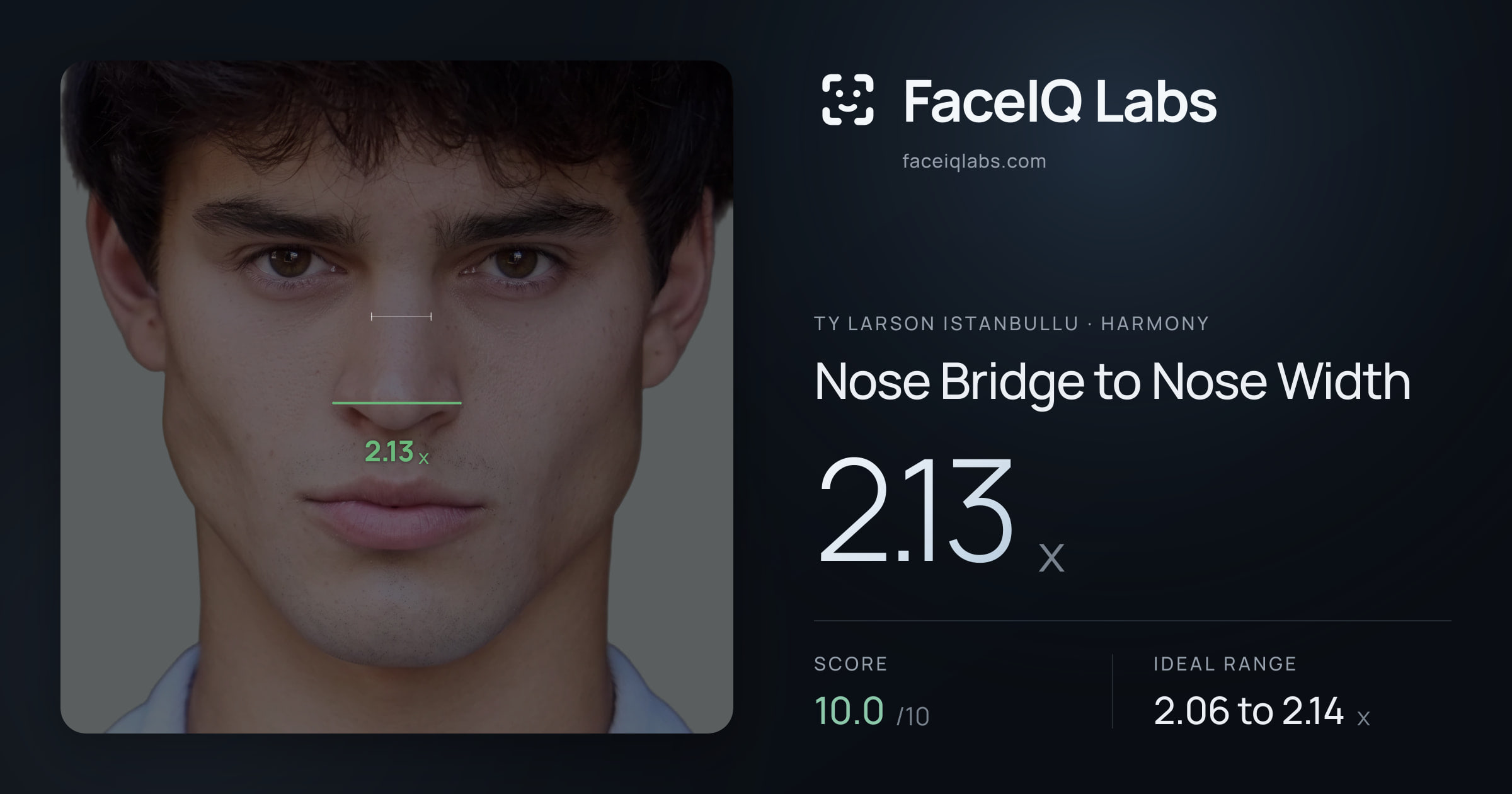 Ty Larson Istanbullu Nose Bridge to Nose Width: 2.13x, drawn on the photo