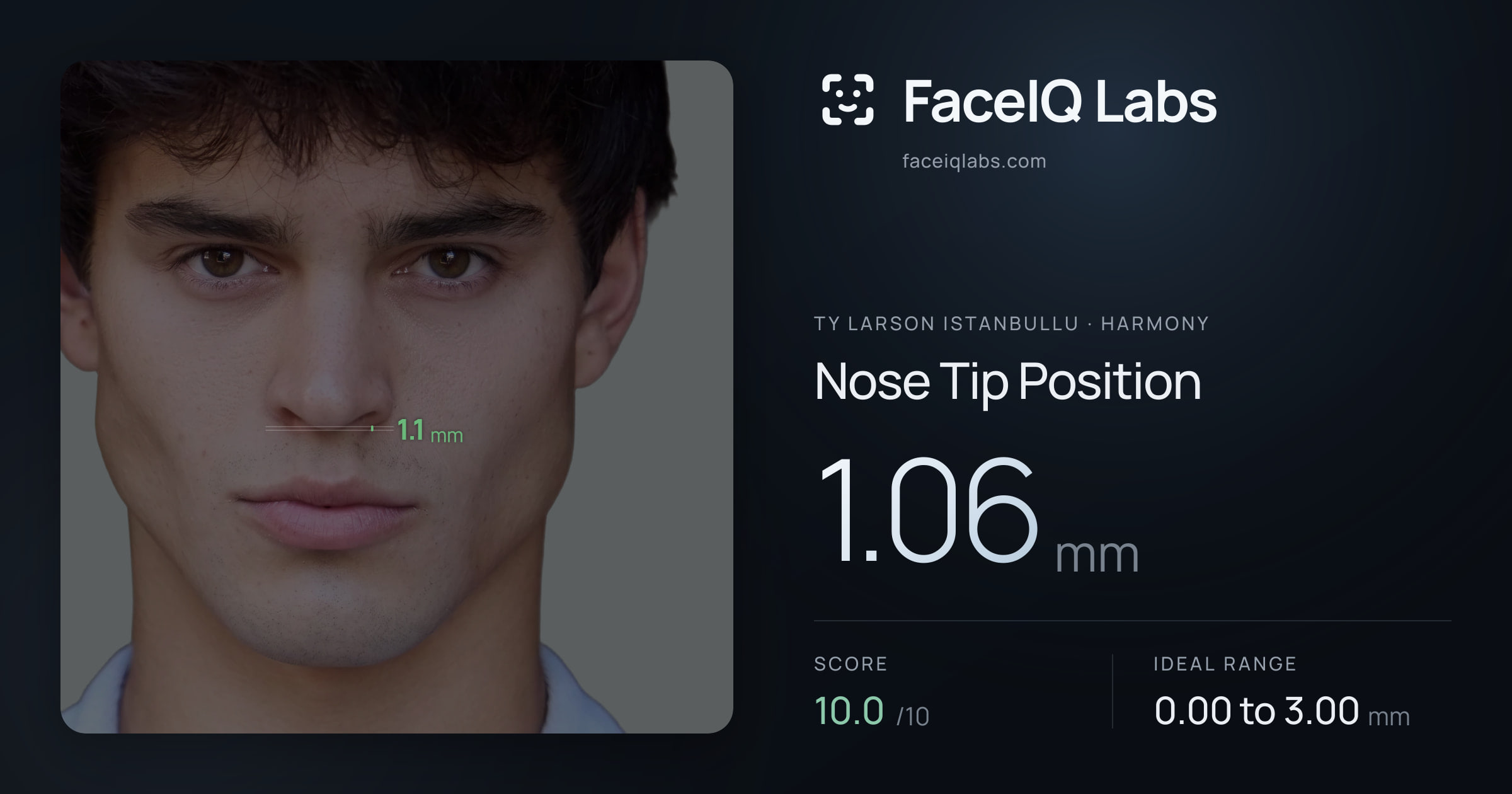 Ty Larson Istanbullu Nose Tip Position: 1.06mm, drawn on the photo