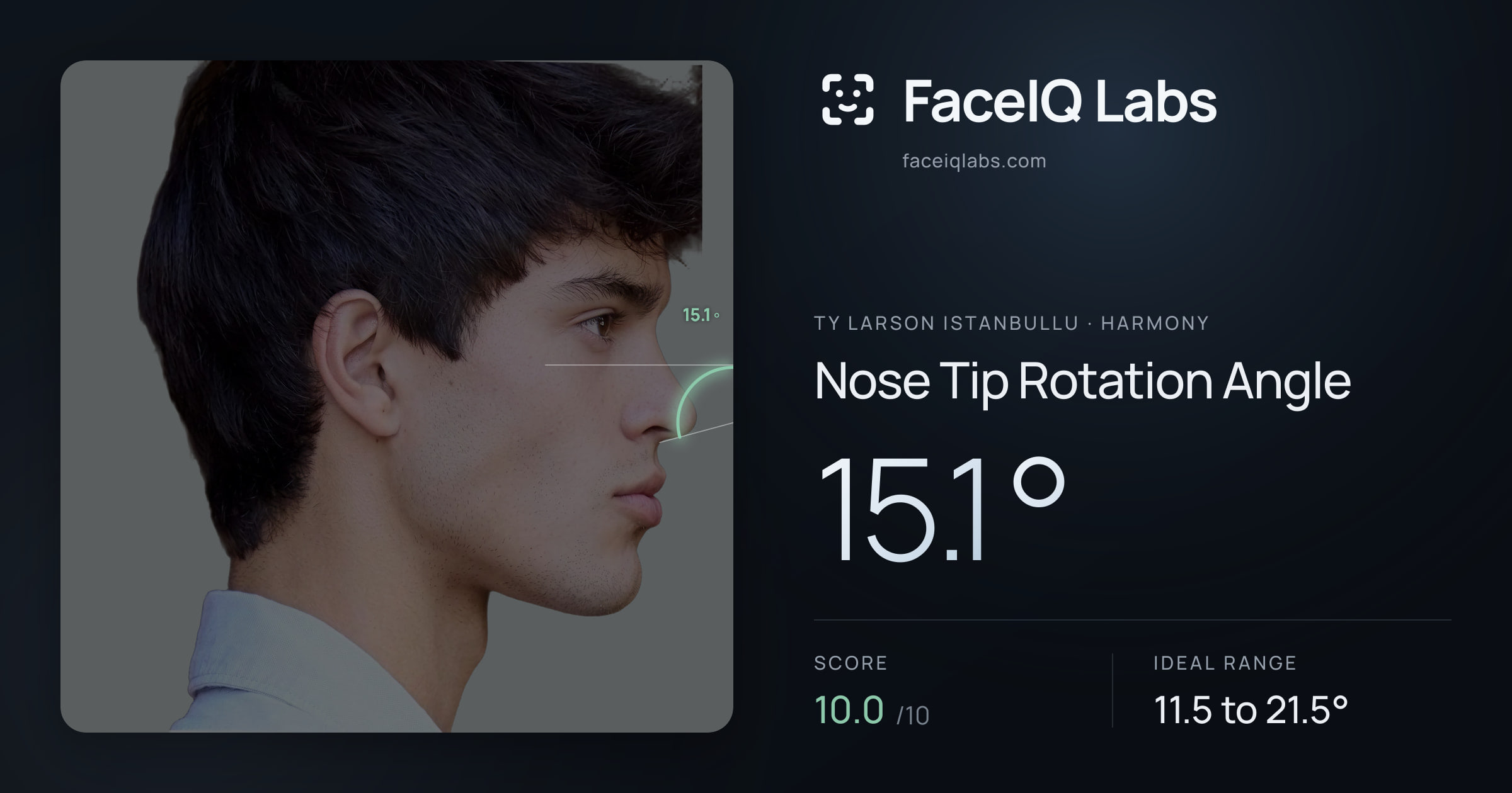 Ty Larson Istanbullu Nose Tip Rotation Angle: 15.1°, drawn on the photo
