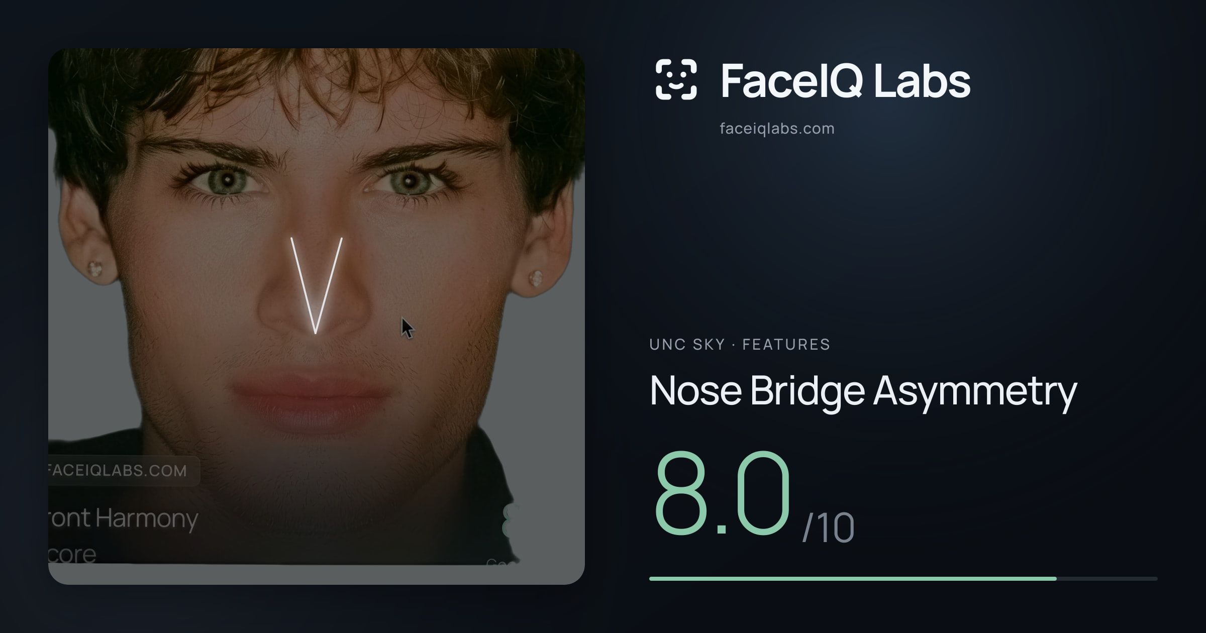 Unc Sky Nose Bridge Asymmetry: 8.0/10, drawn on the photo