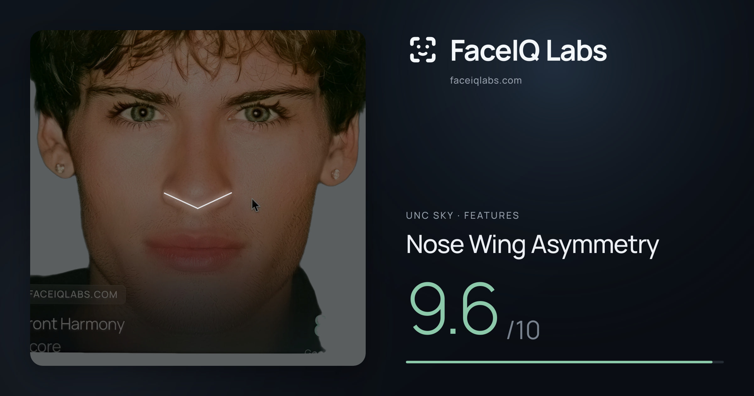 Unc Sky Nose Wing Asymmetry: 9.6/10, drawn on the photo