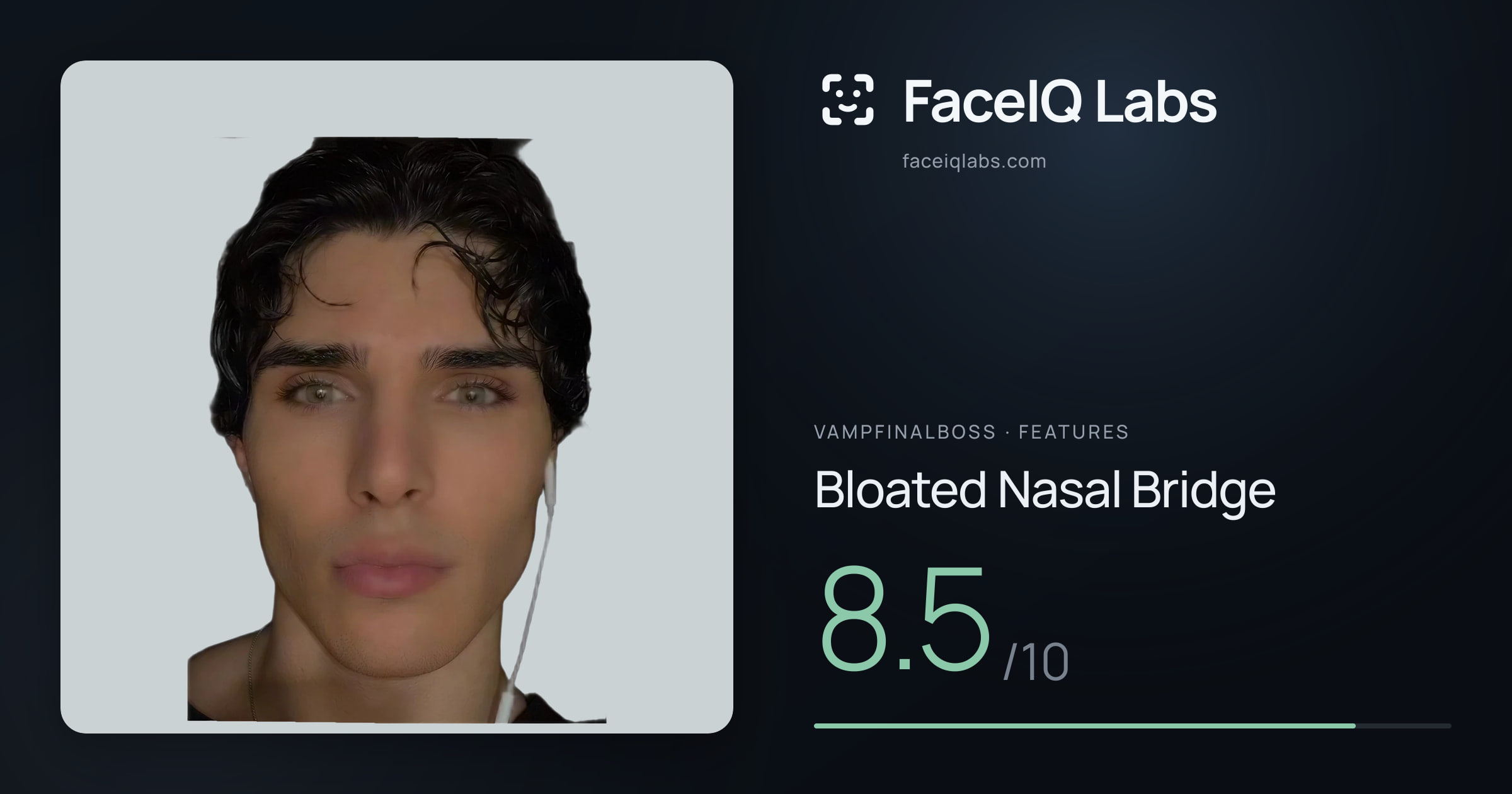 Vampfinalboss Bloated Nasal Bridge: 8.5/10, drawn on the photo