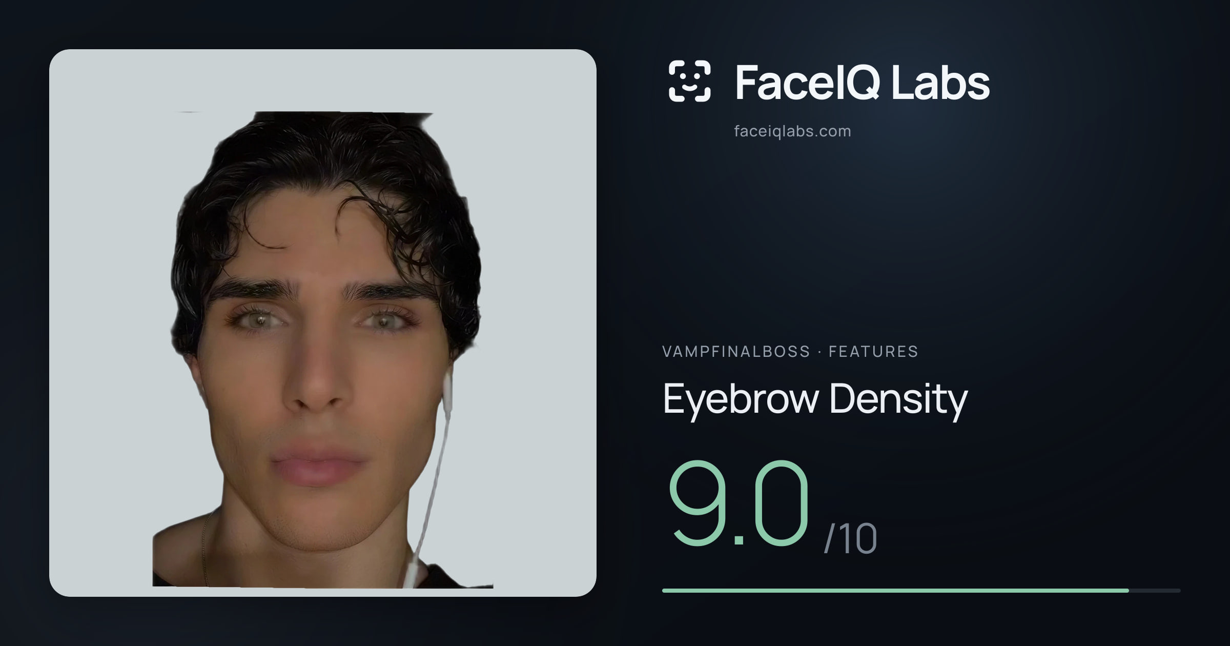 Vampfinalboss Eyebrow Density: 9.0/10, drawn on the photo