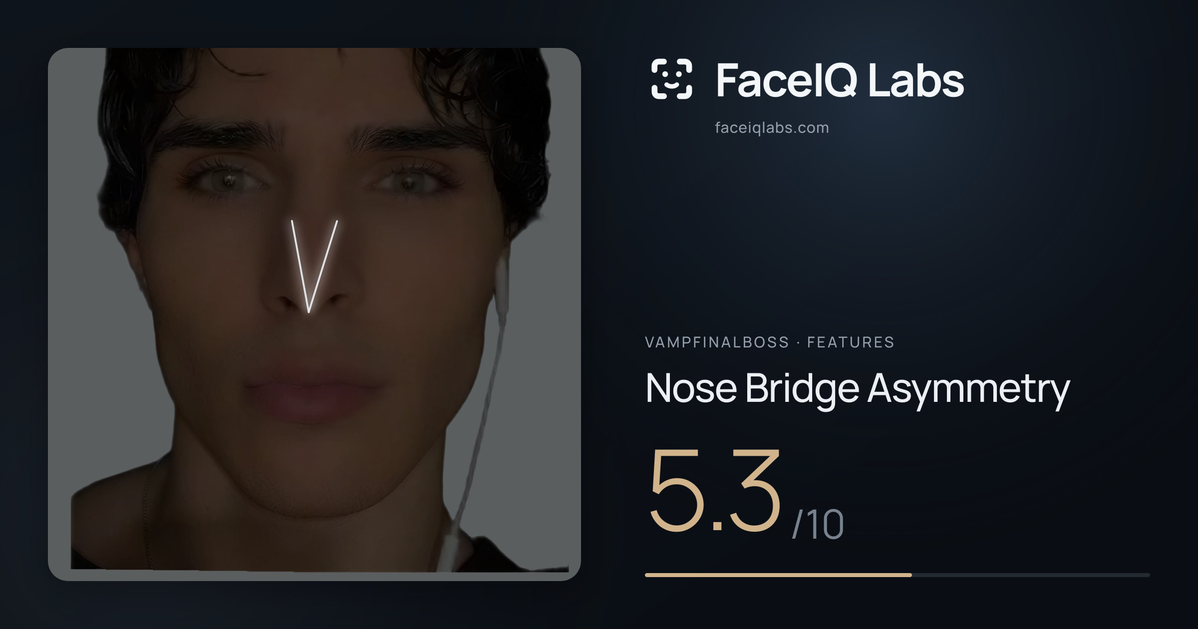 Vampfinalboss Nose Bridge Asymmetry: 5.3/10, drawn on the photo