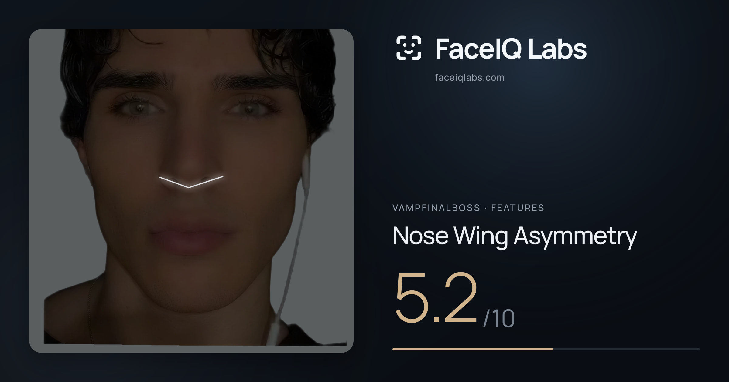 Vampfinalboss Nose Wing Asymmetry: 5.2/10, drawn on the photo