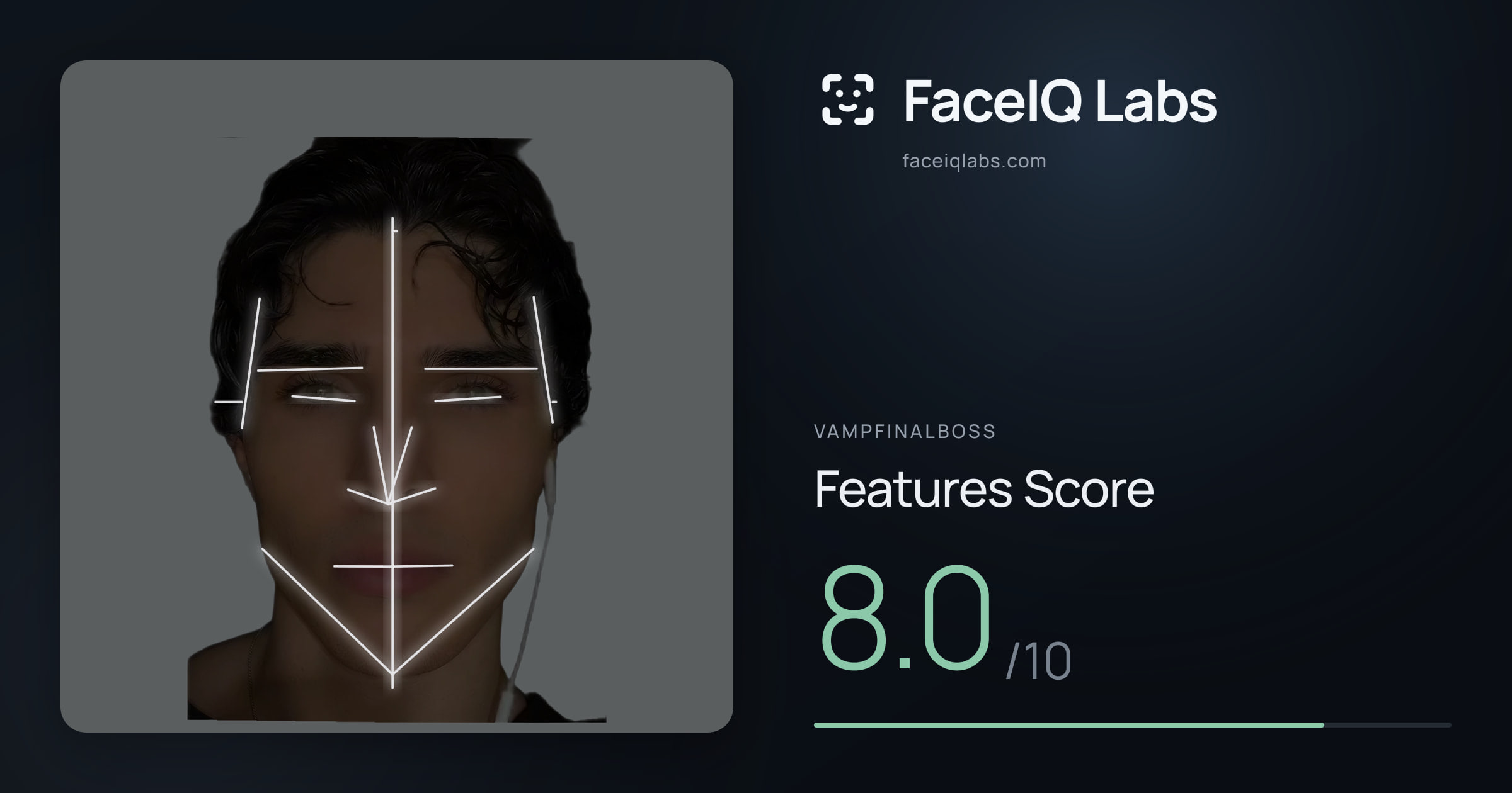 Vampfinalboss Features: 8.0/10, with each assessment drawn on the photo