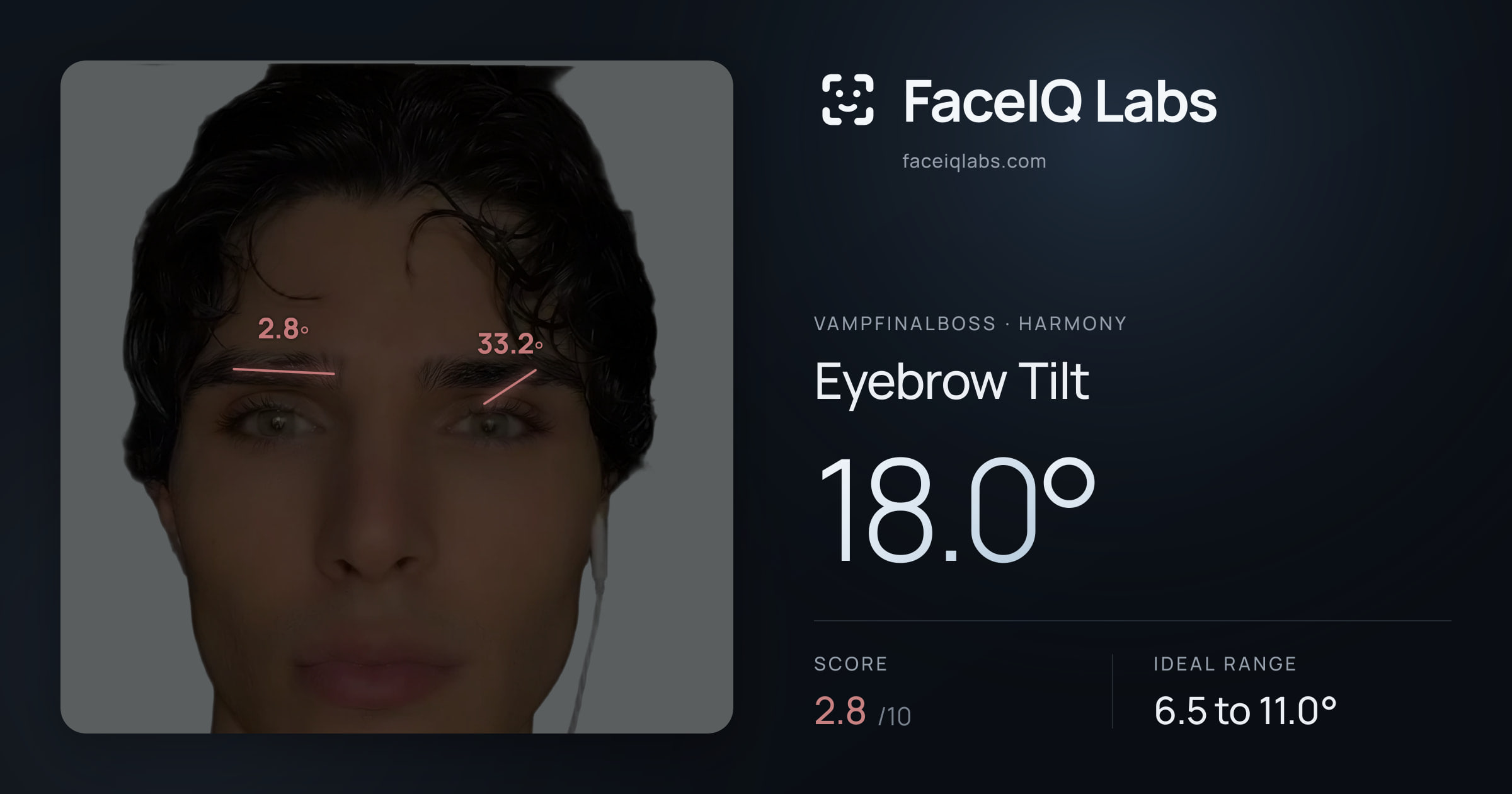 Vampfinalboss Eyebrow Tilt: 18.0°, drawn on the photo