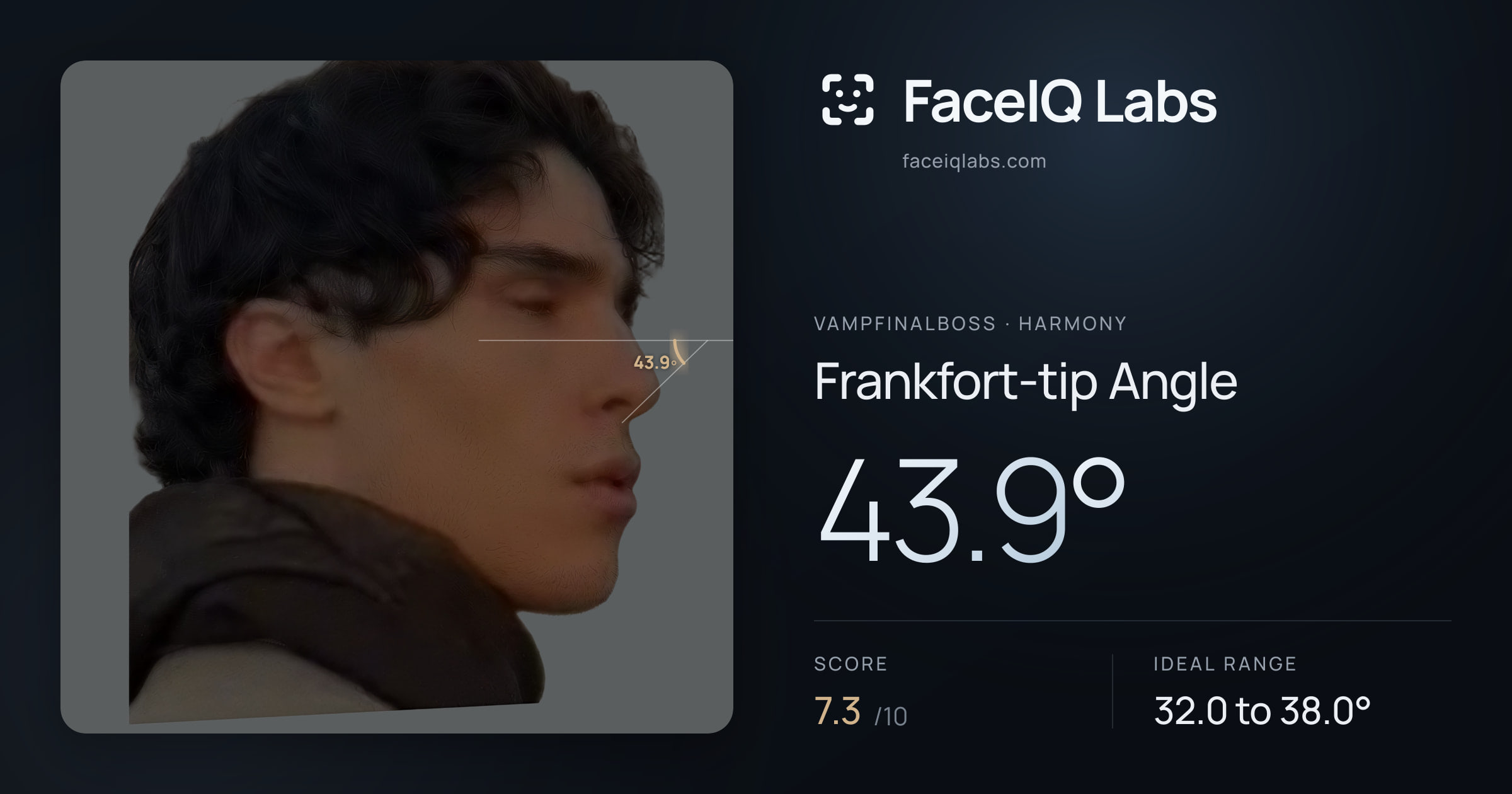 Vampfinalboss Frankfort-tip Angle: 43.9°, drawn on the photo