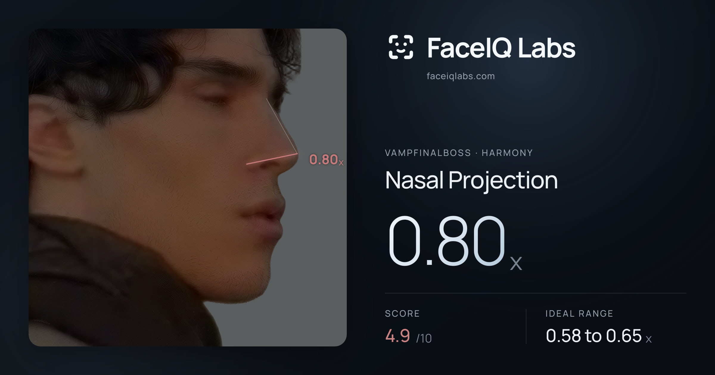 Vampfinalboss Nasal Projection: 0.80x, drawn on the photo