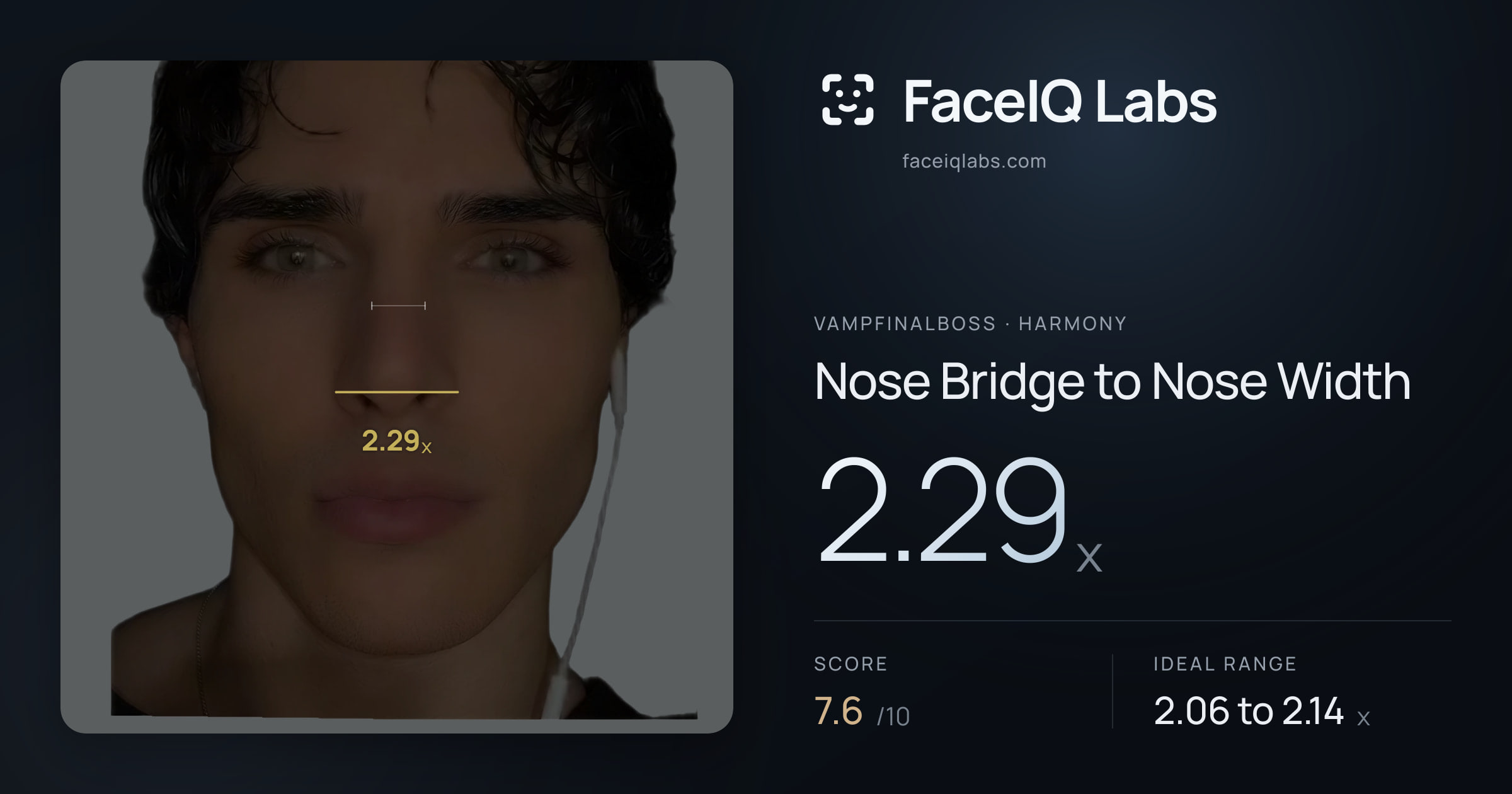 Vampfinalboss Nose Bridge to Nose Width: 2.29x, drawn on the photo