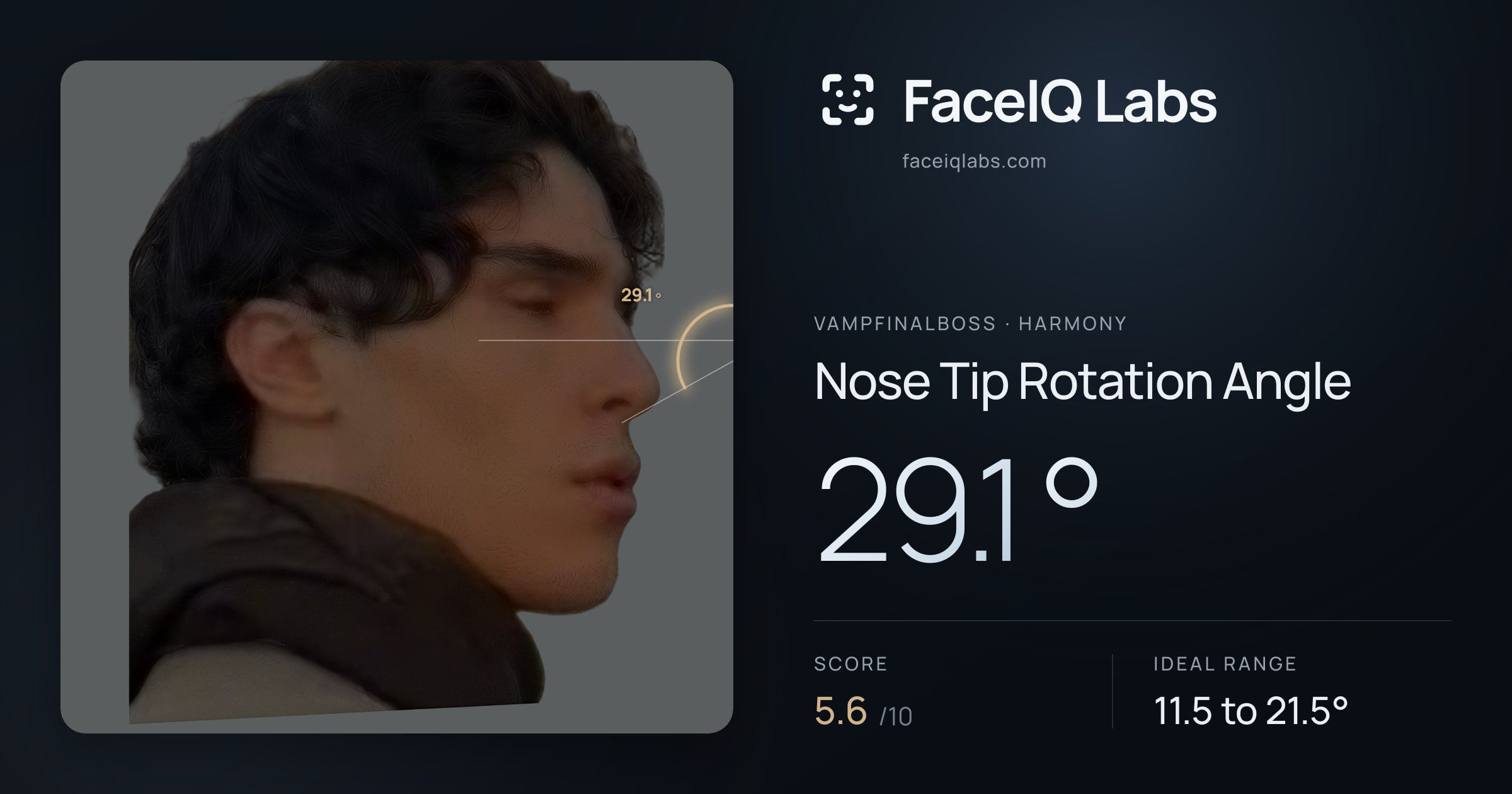 Vampfinalboss Nose Tip Rotation Angle: 29.1°, drawn on the photo