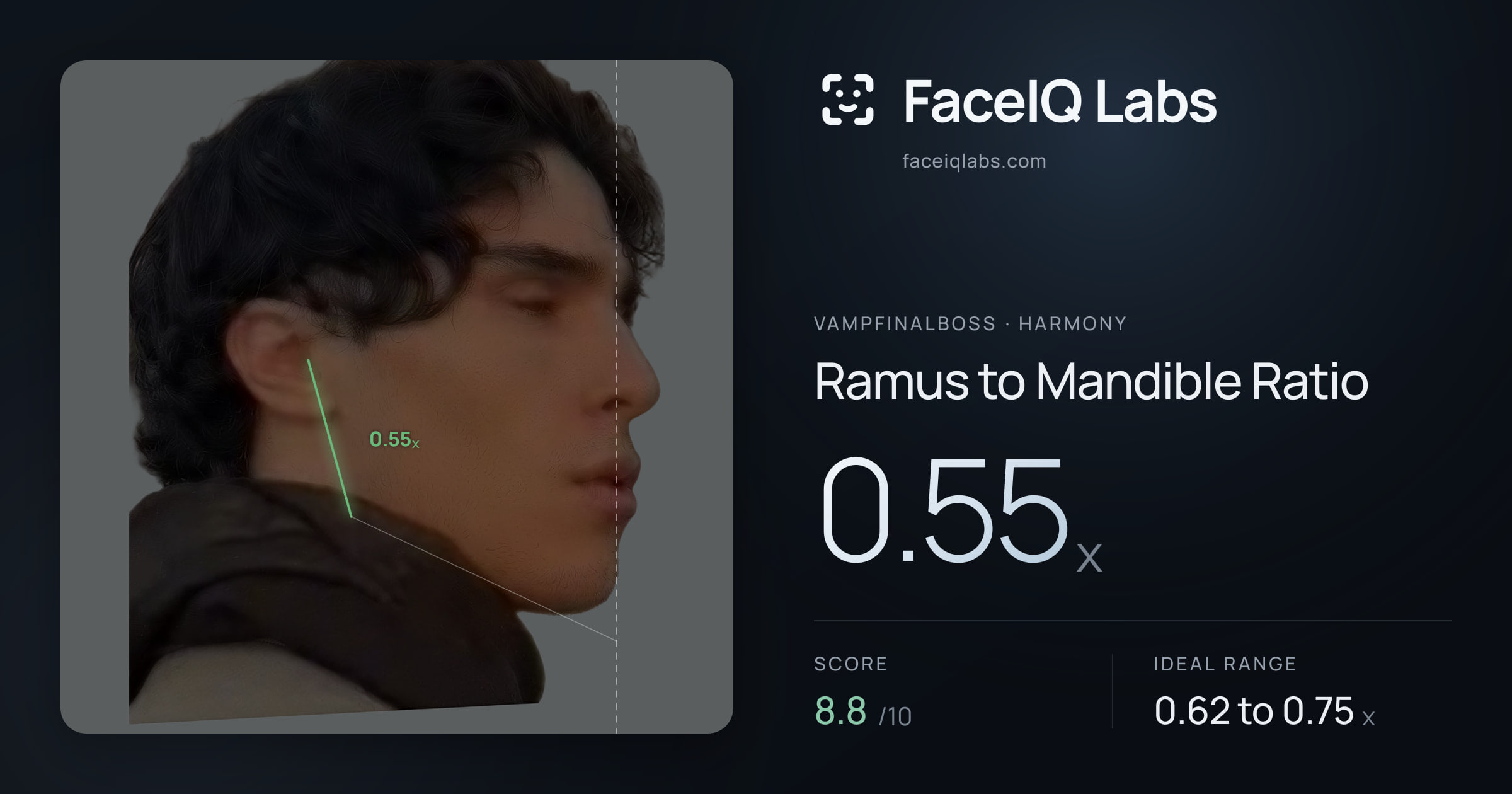 Vampfinalboss Ramus to Mandible Ratio: 0.55x, drawn on the photo
