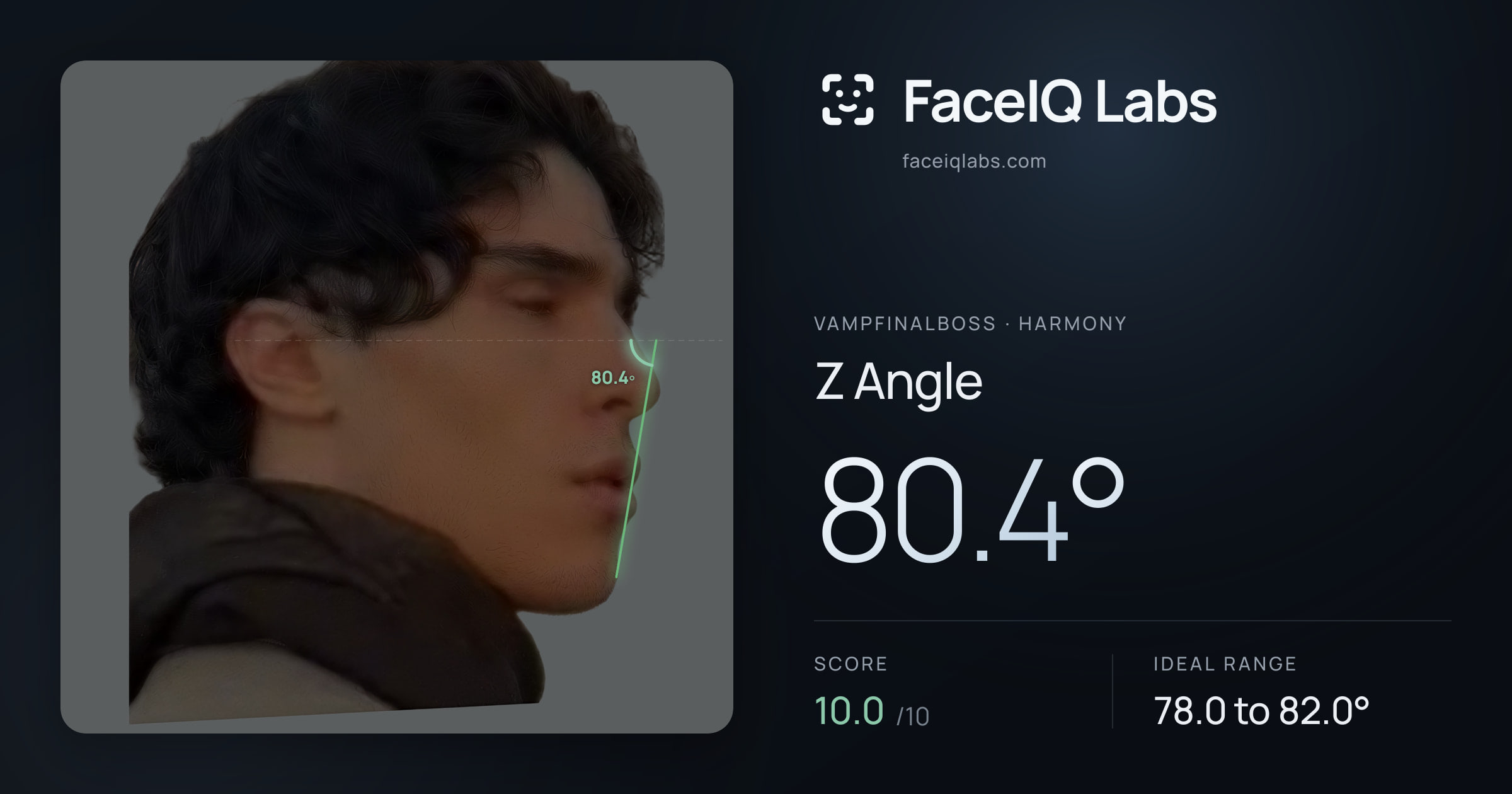 Vampfinalboss Z Angle: 80.4°, drawn on the photo
