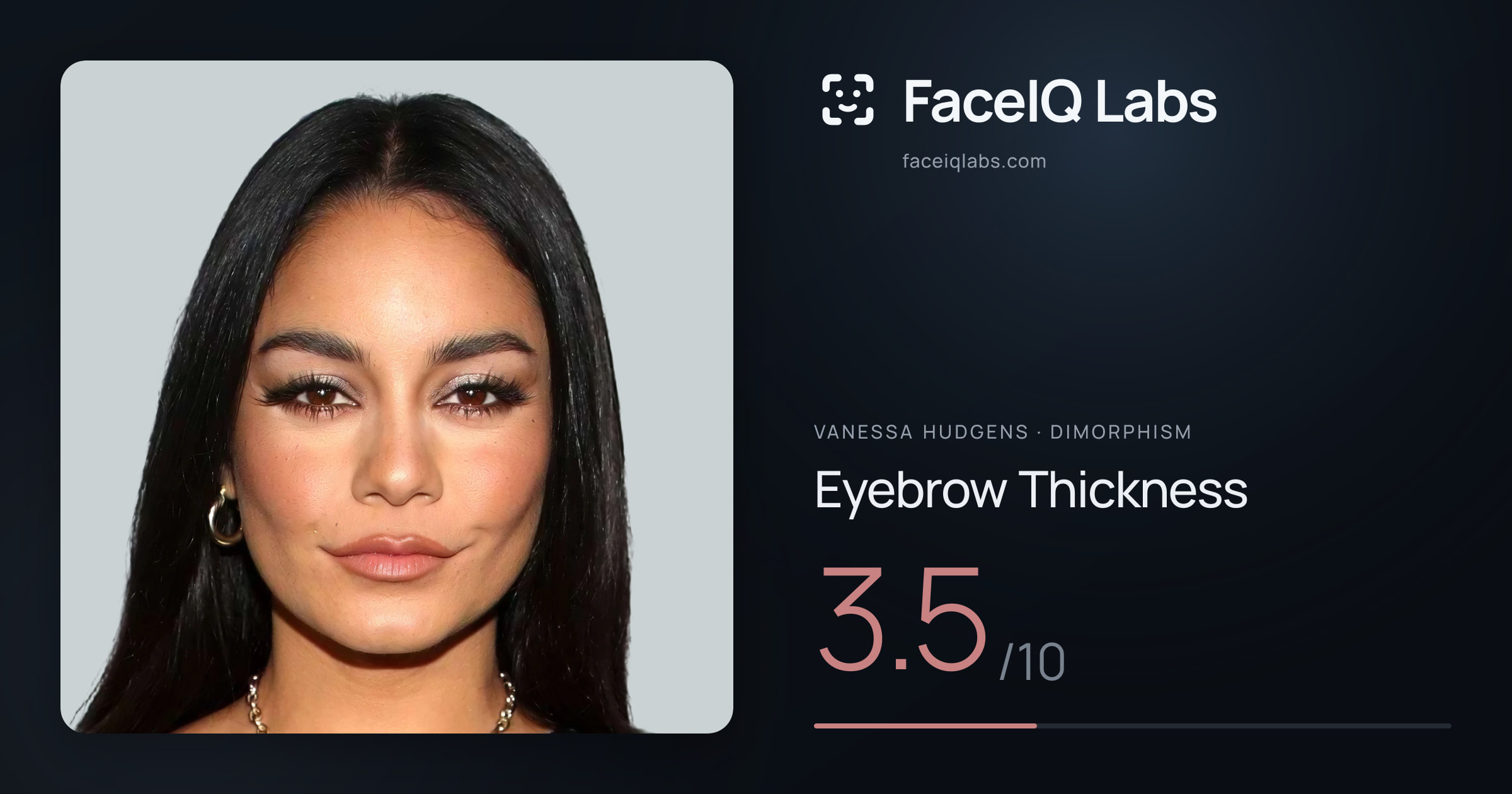 Vanessa Hudgens Eyebrow Thickness: 3.5/10, drawn on the photo