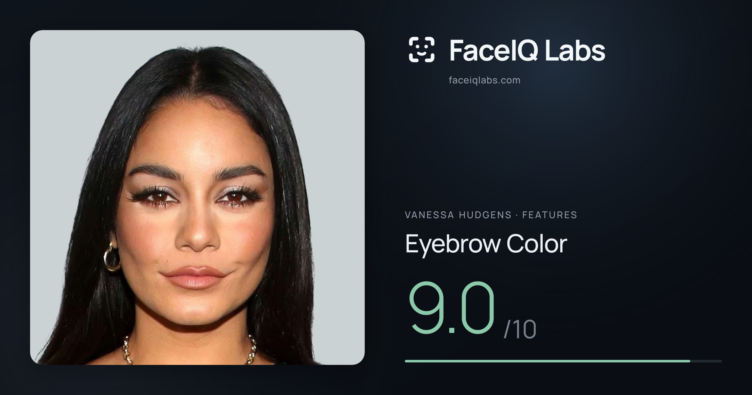 Vanessa Hudgens Eyebrow Color: 9.0/10, drawn on the photo