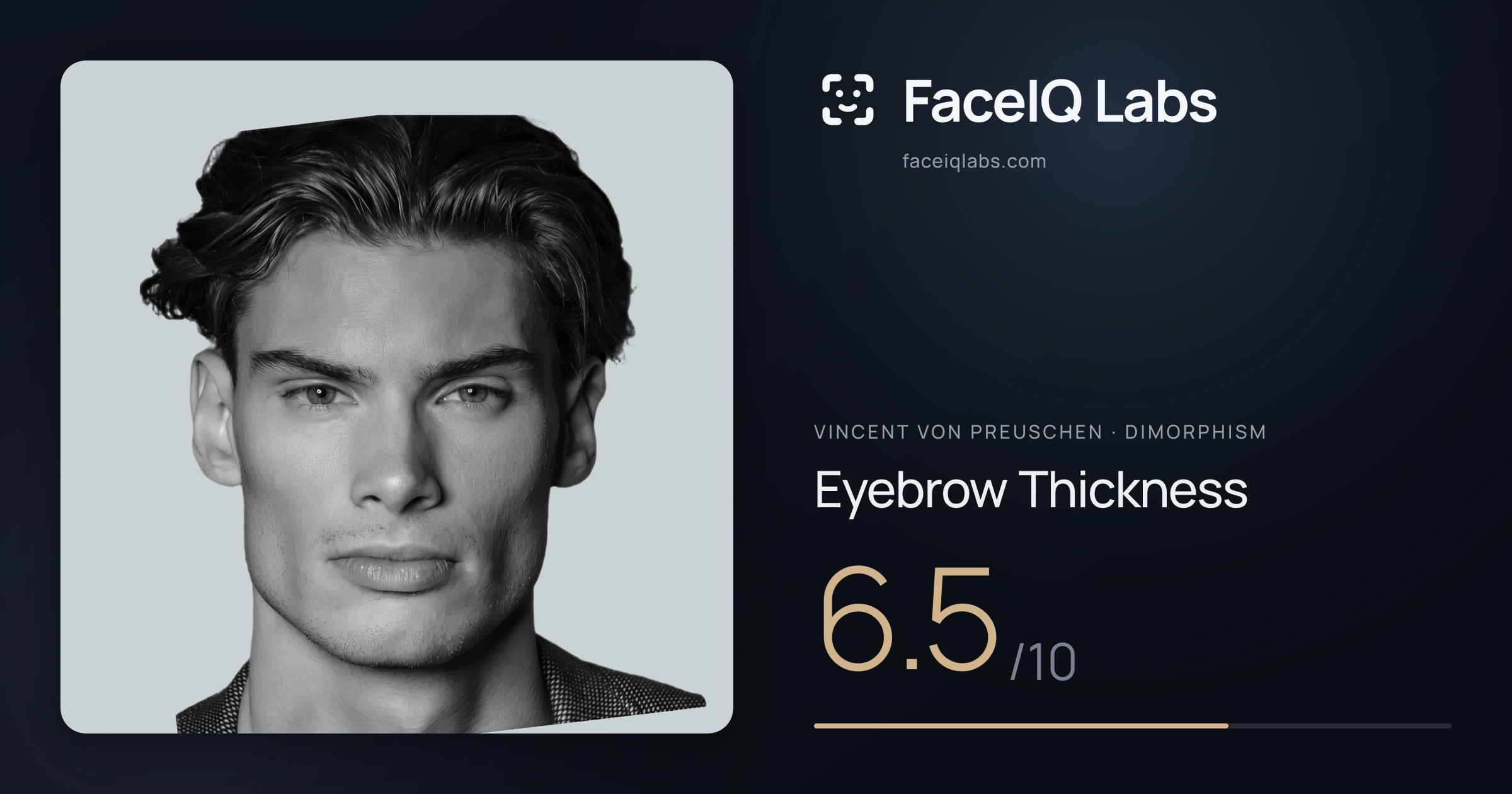 Vincent von Preuschen Eyebrow Thickness: 6.5/10, drawn on the photo