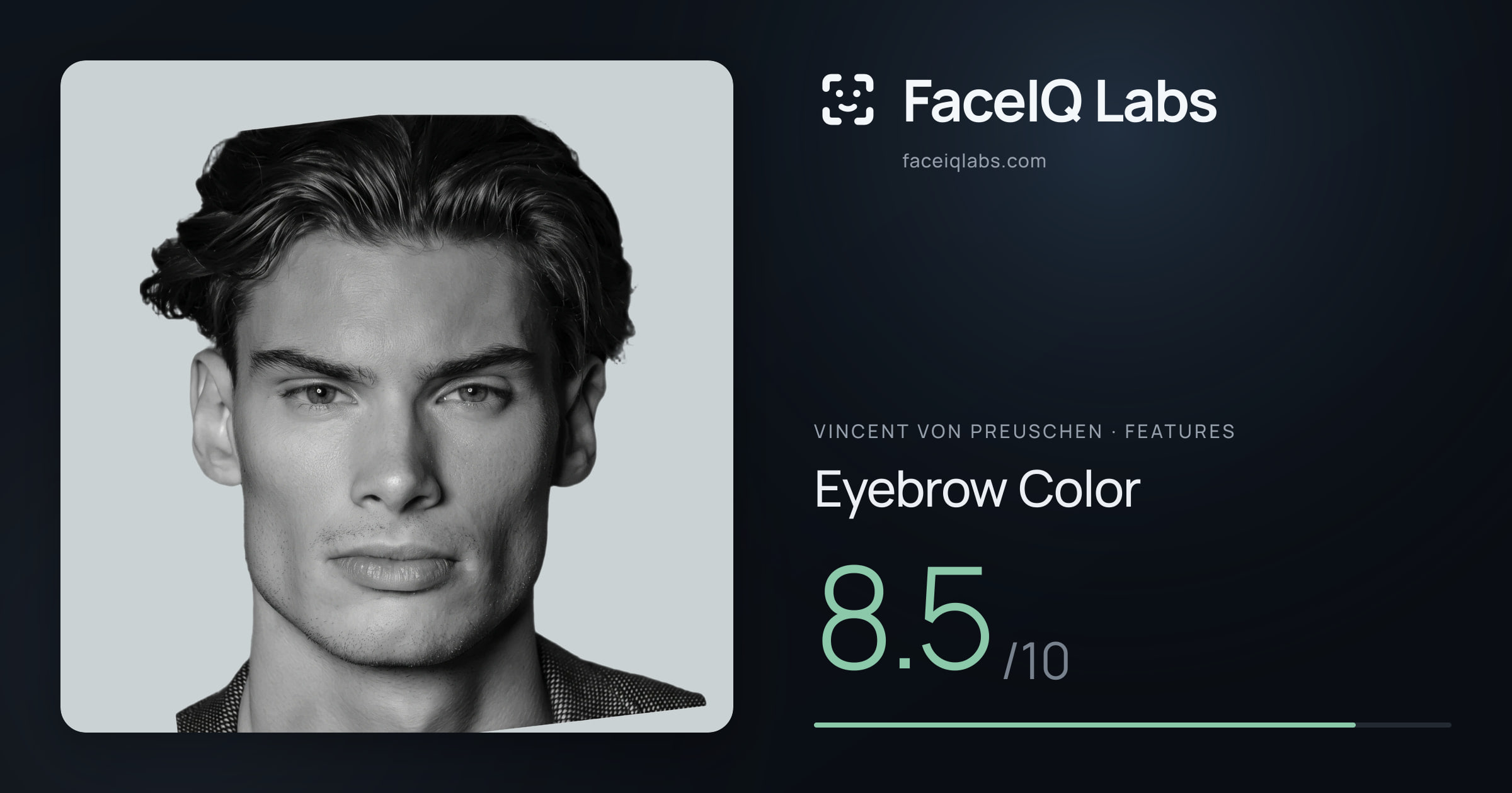 Vincent von Preuschen Eyebrow Color: 8.5/10, drawn on the photo