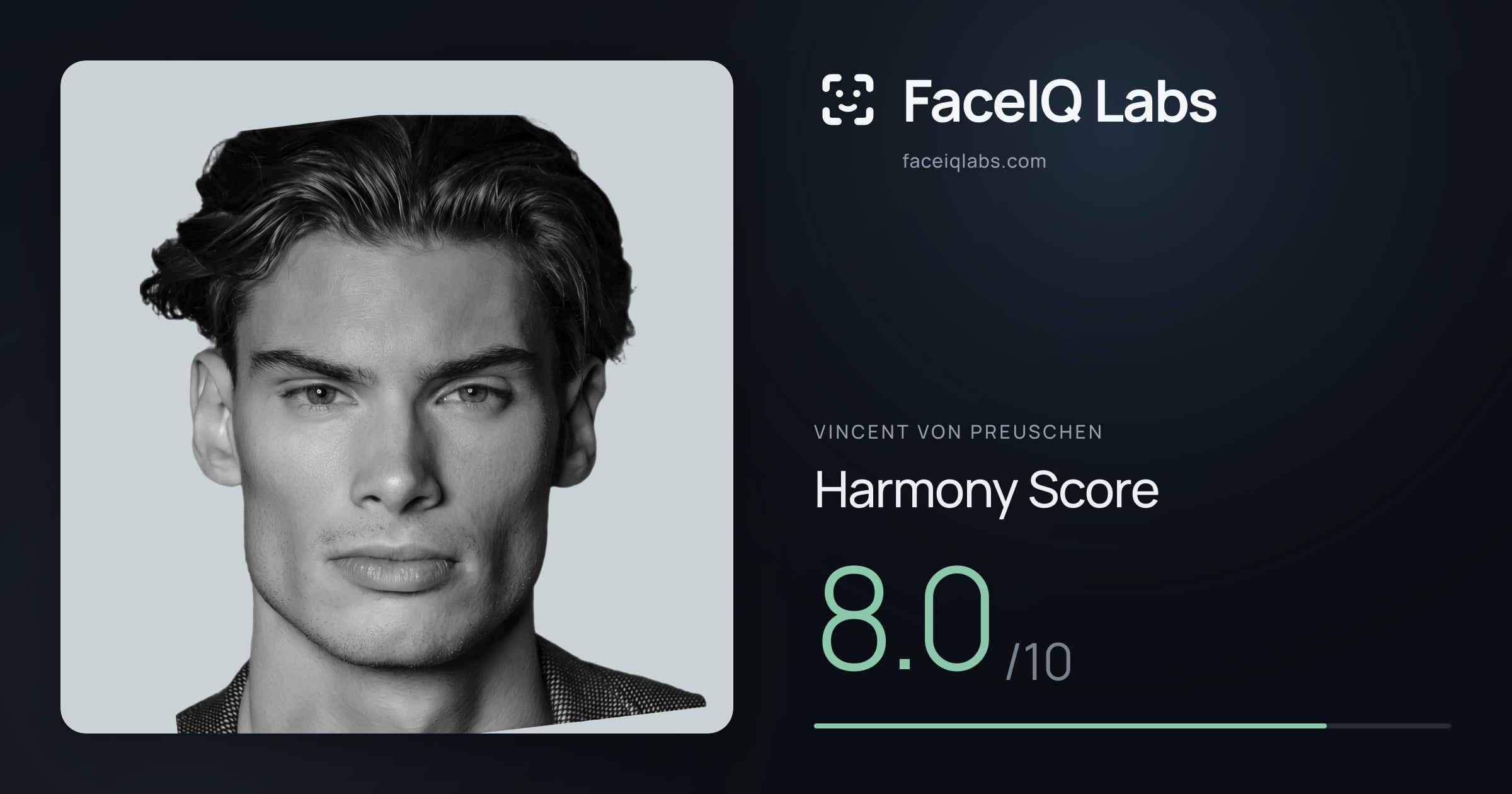 Vincent von Preuschen Harmony: 8.0/10, with each ratio's score