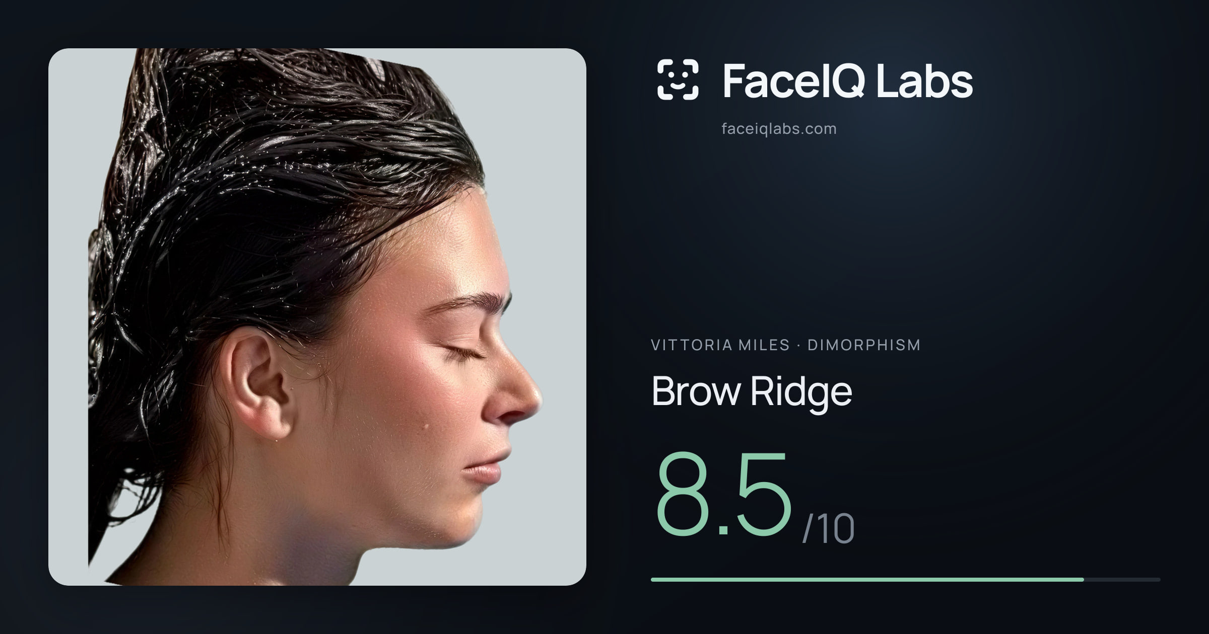 Vittoria Miles Brow Ridge: 8.5/10, drawn on the photo