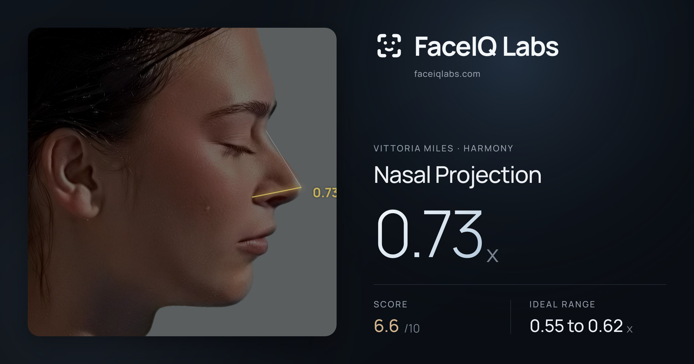 Vittoria Miles Nasal Projection: 0.73x, drawn on the photo