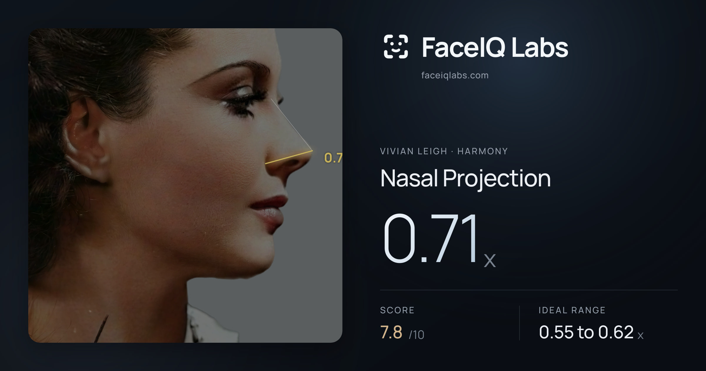 Vivian Leigh Nasal Projection: 0.71x, drawn on the photo