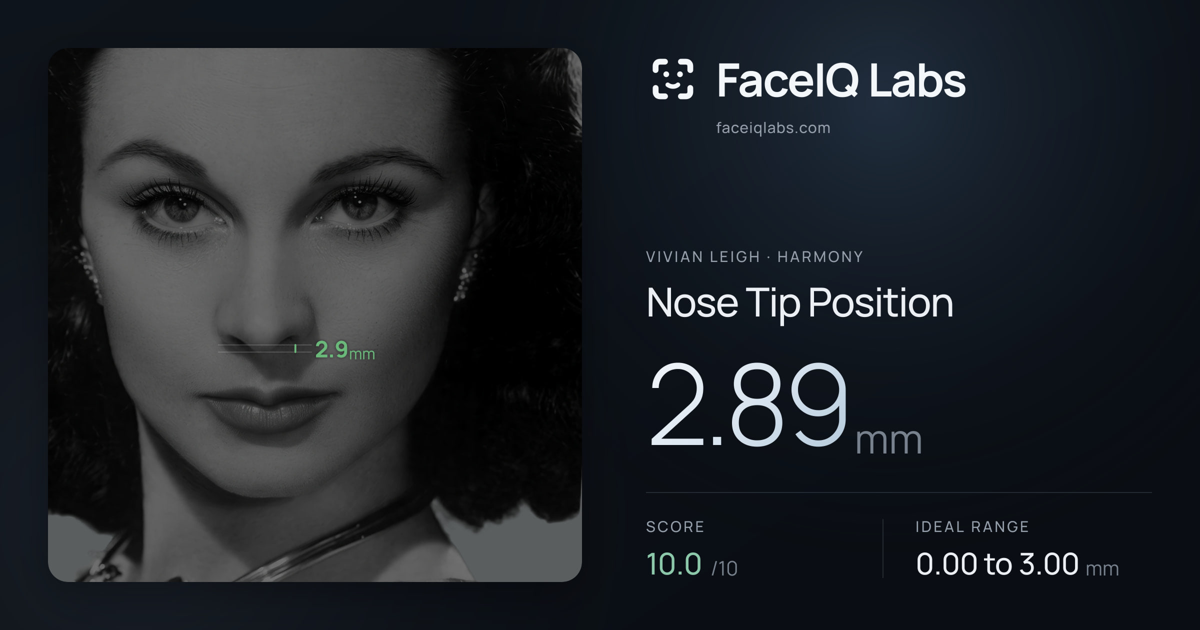 Vivian Leigh Nose Tip Position: 2.89mm, drawn on the photo