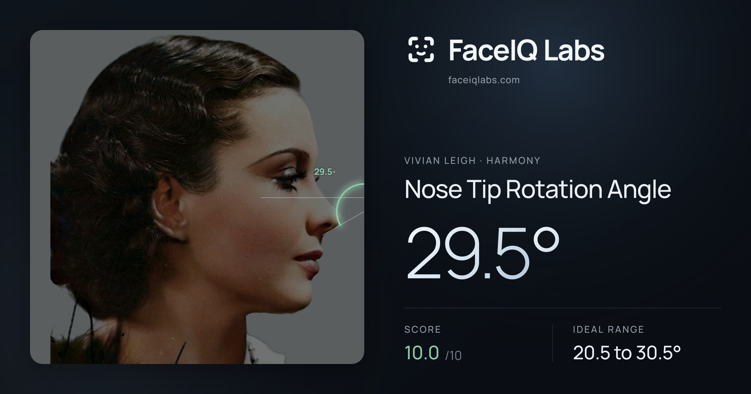 Vivian Leigh Nose Tip Rotation Angle: 29.5°, drawn on the photo