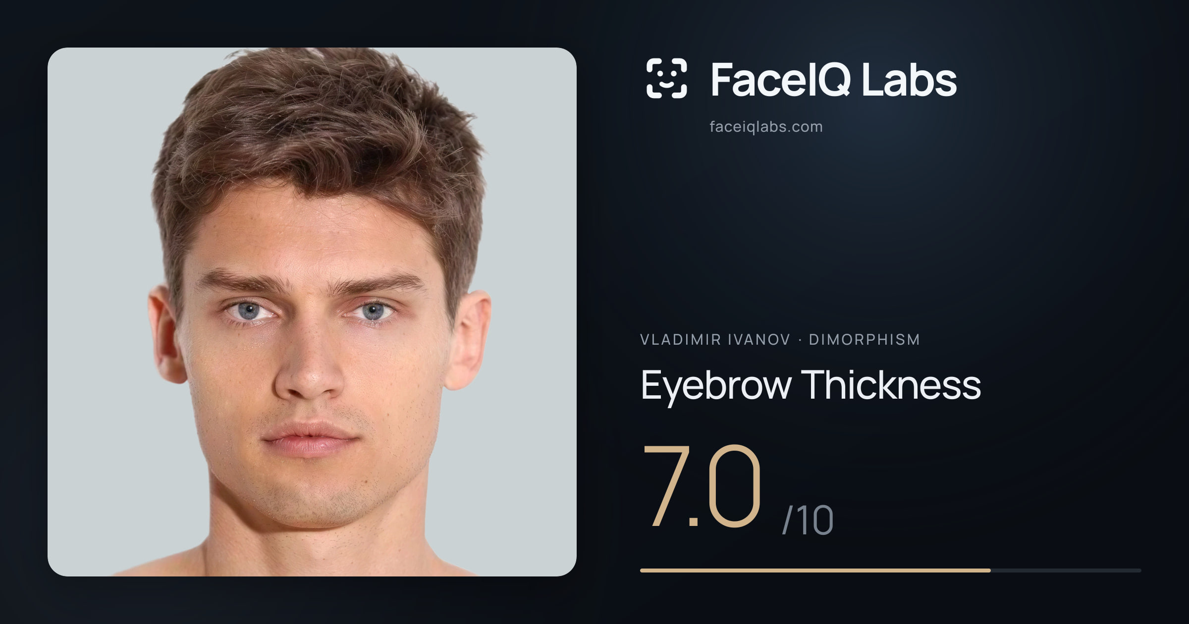 Vladimir Ivanov Eyebrow Thickness: 7.0/10, drawn on the photo