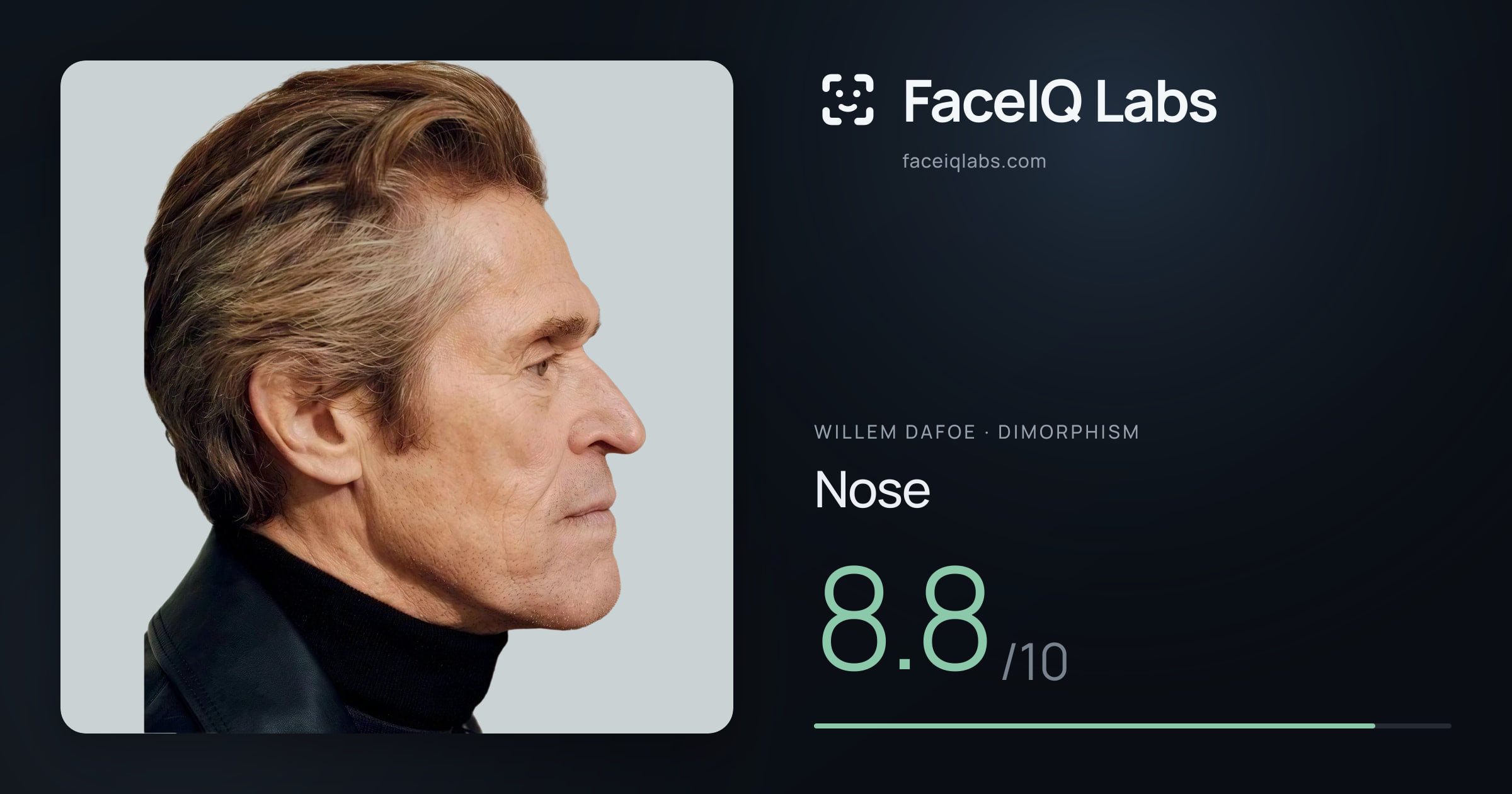 Willem Dafoe Nose: 8.8/10, drawn on the photo