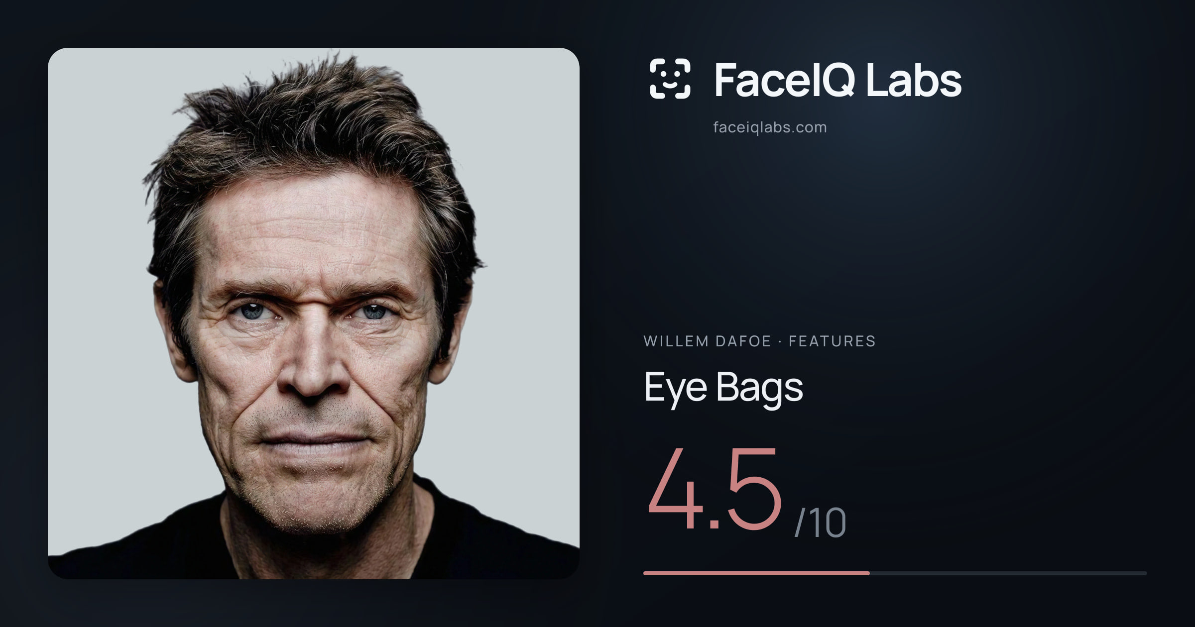 Willem Dafoe Eye Bags: 4.5/10, drawn on the photo