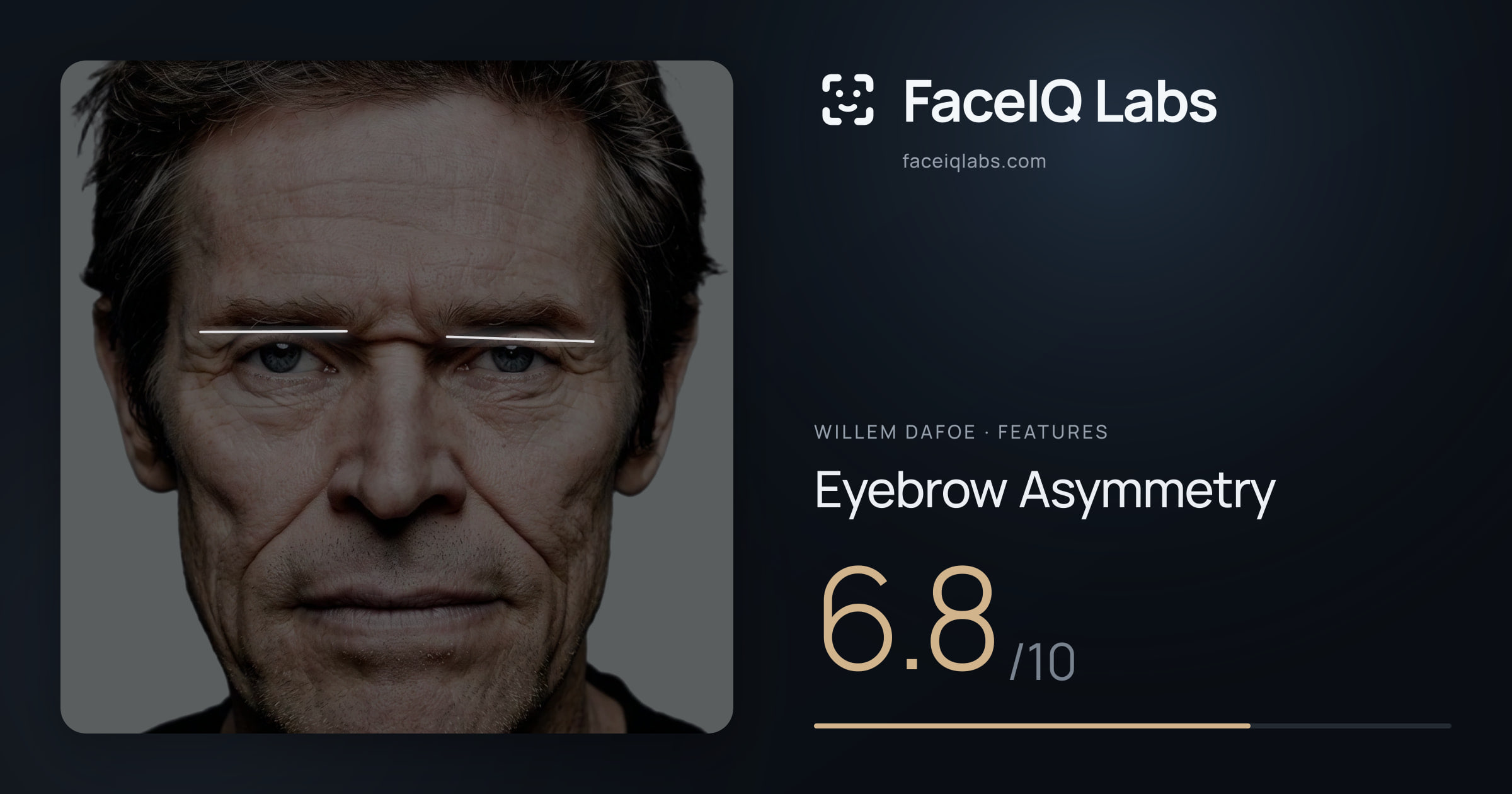 Willem Dafoe Eyebrow Asymmetry: 6.8/10, drawn on the photo