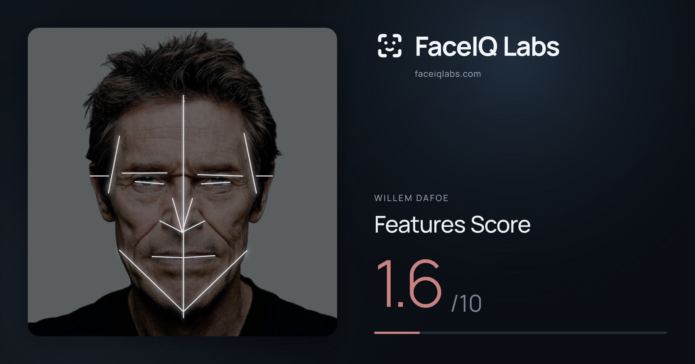 Willem Dafoe Features: 1.6/10, with each assessment drawn on the photo