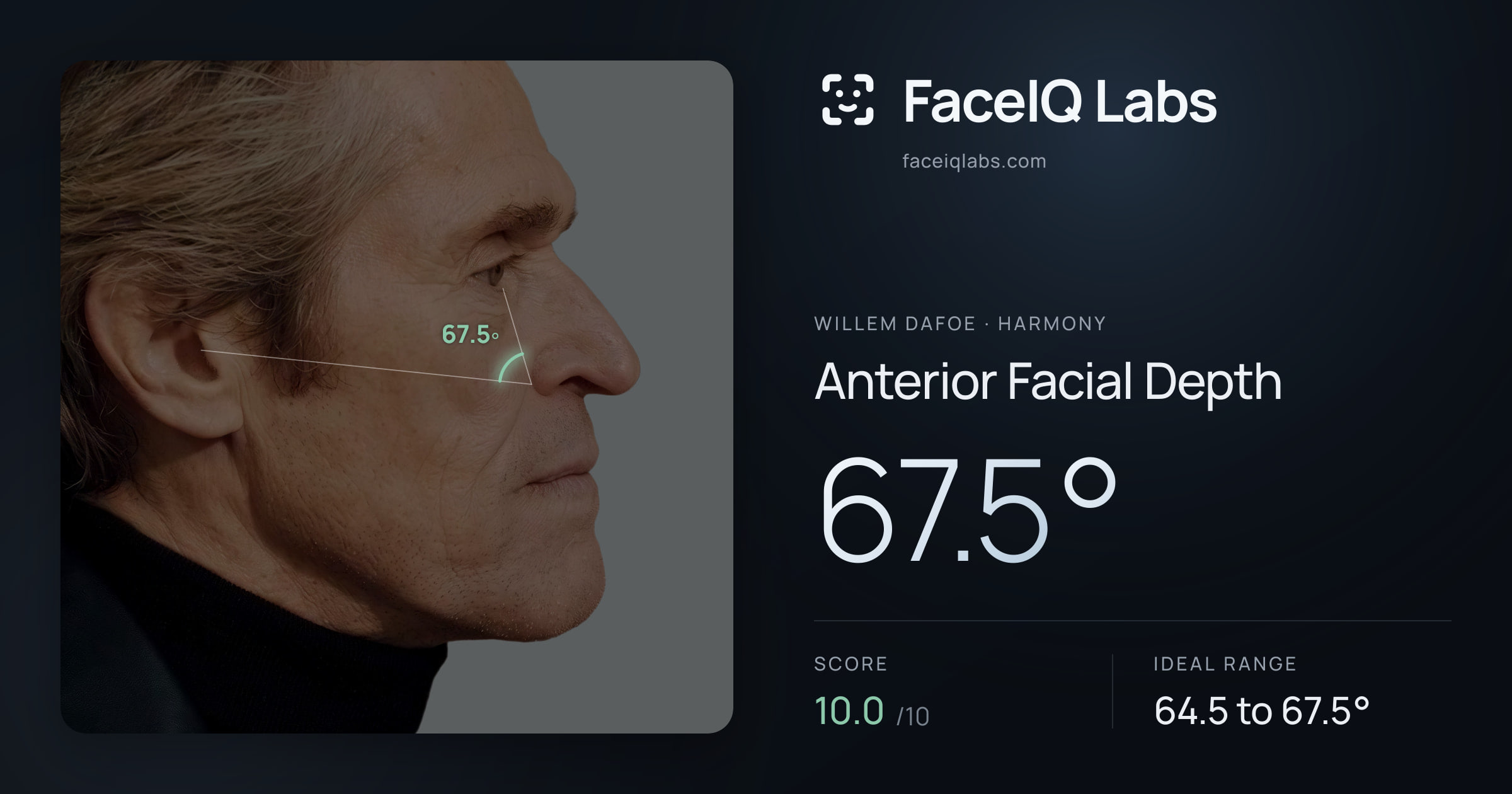 Willem Dafoe Anterior Facial Depth: 67.5°, drawn on the photo