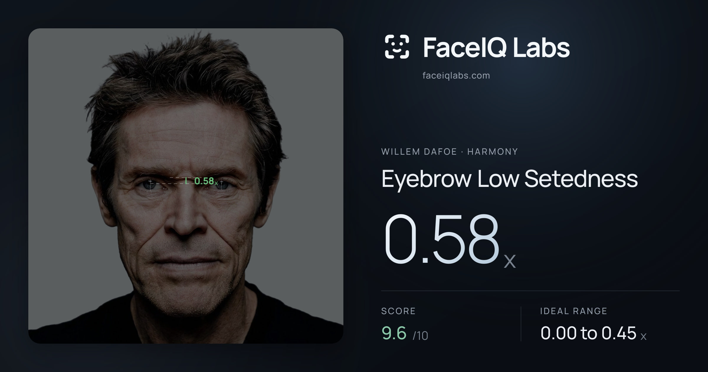 Willem Dafoe Eyebrow Low Setedness: 0.58x, drawn on the photo