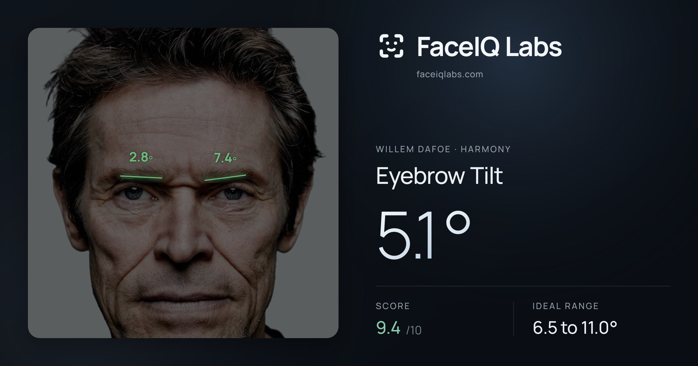 Willem Dafoe Eyebrow Tilt: 5.1°, drawn on the photo