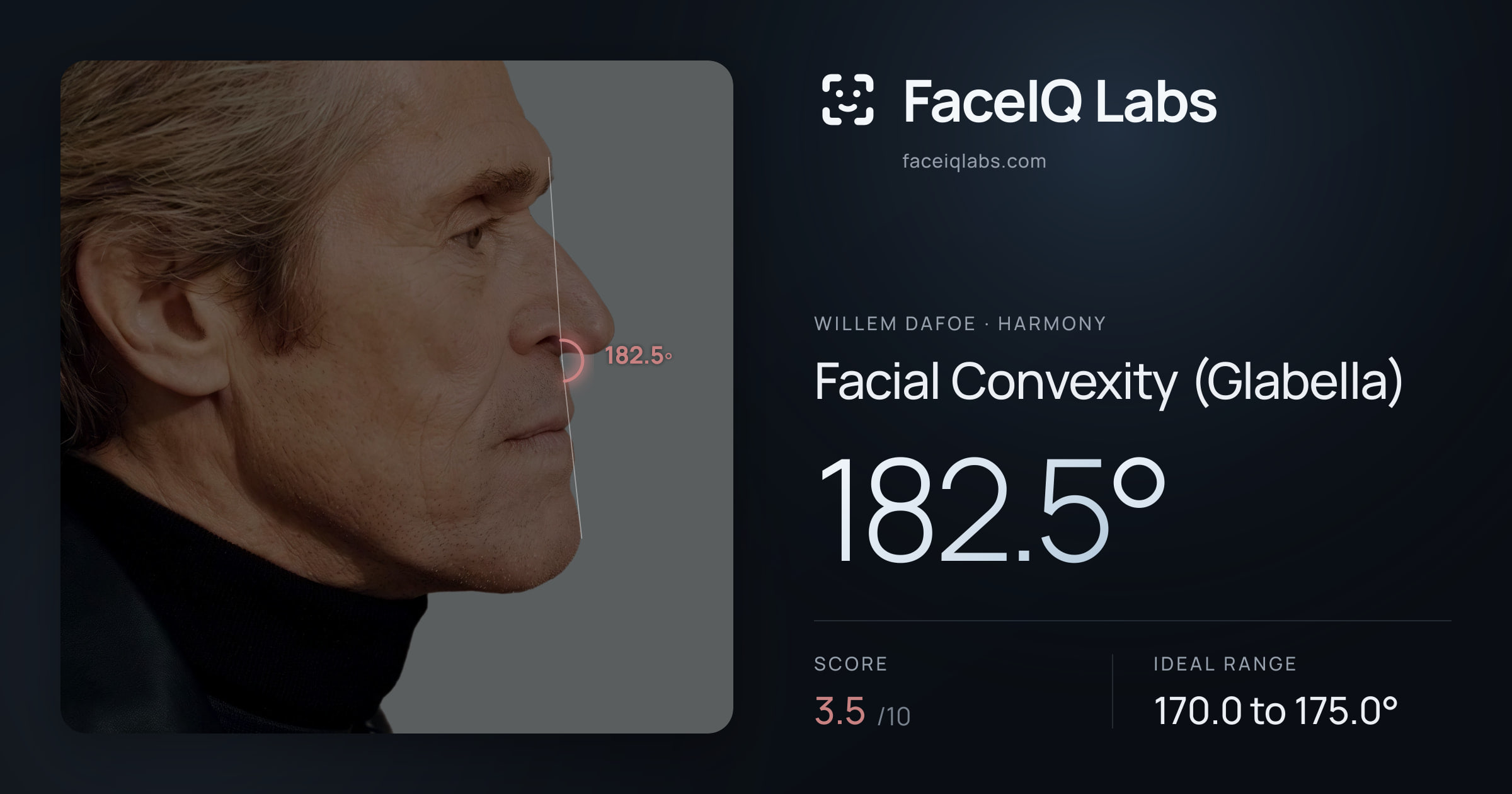 Willem Dafoe Facial Convexity (Glabella): 182.5°, drawn on the photo