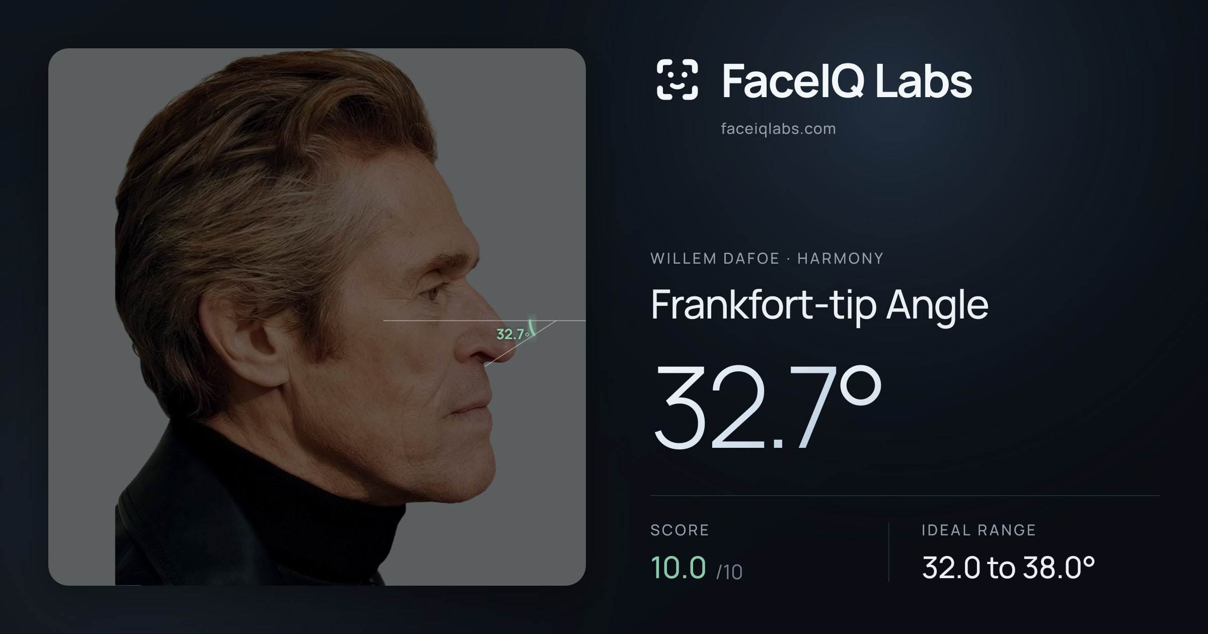 Willem Dafoe Frankfort-tip Angle: 32.7°, drawn on the photo