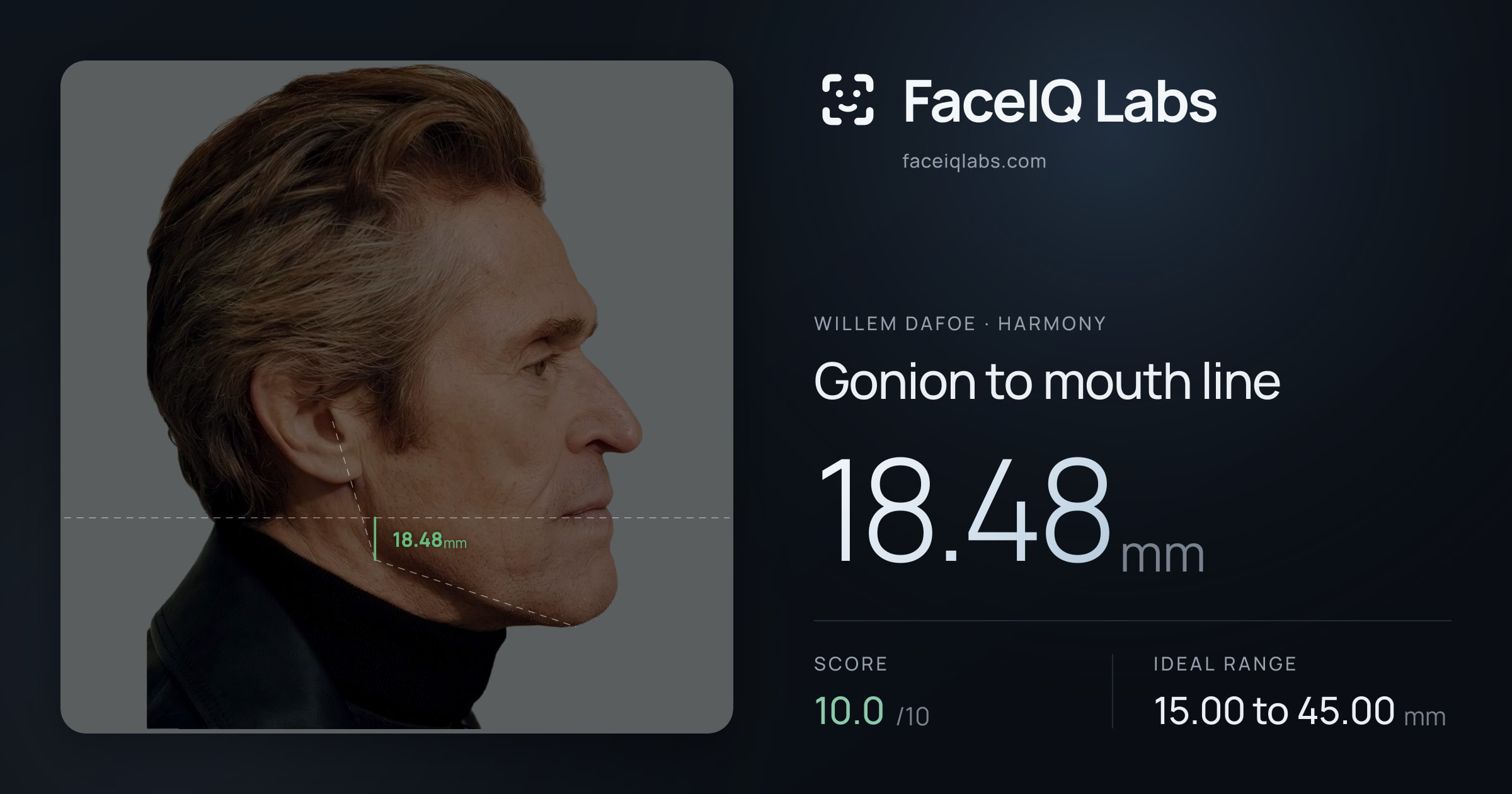 Willem Dafoe Gonion to mouth line: 18.48mm, drawn on the photo