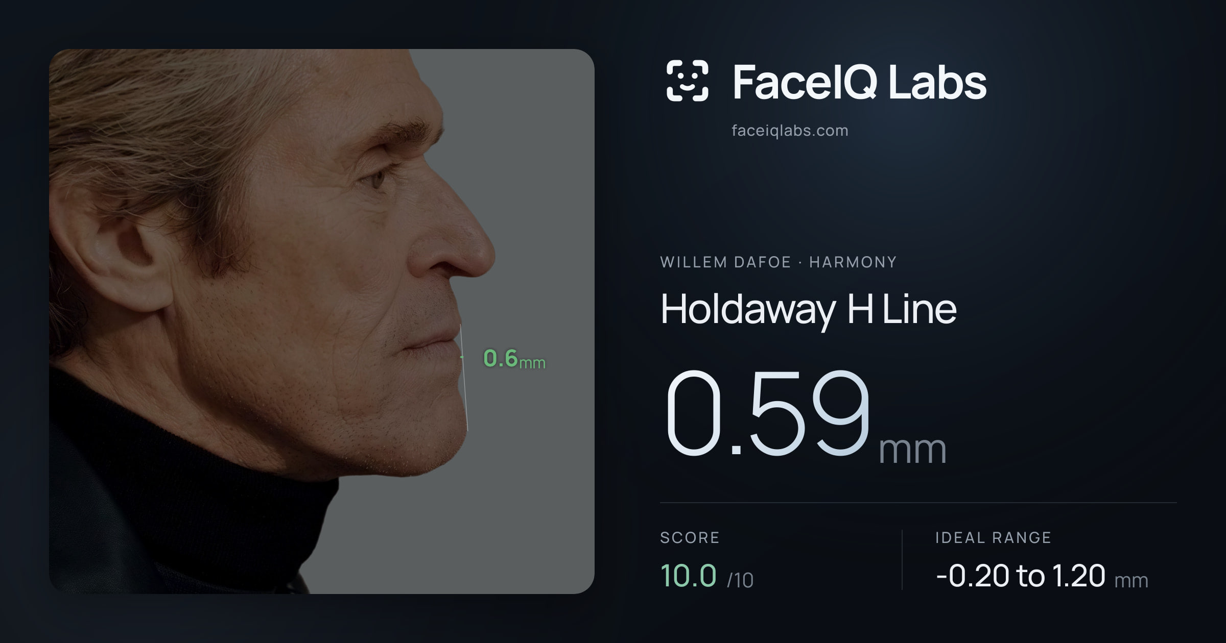 Willem Dafoe Holdaway H Line: 0.59mm, drawn on the photo