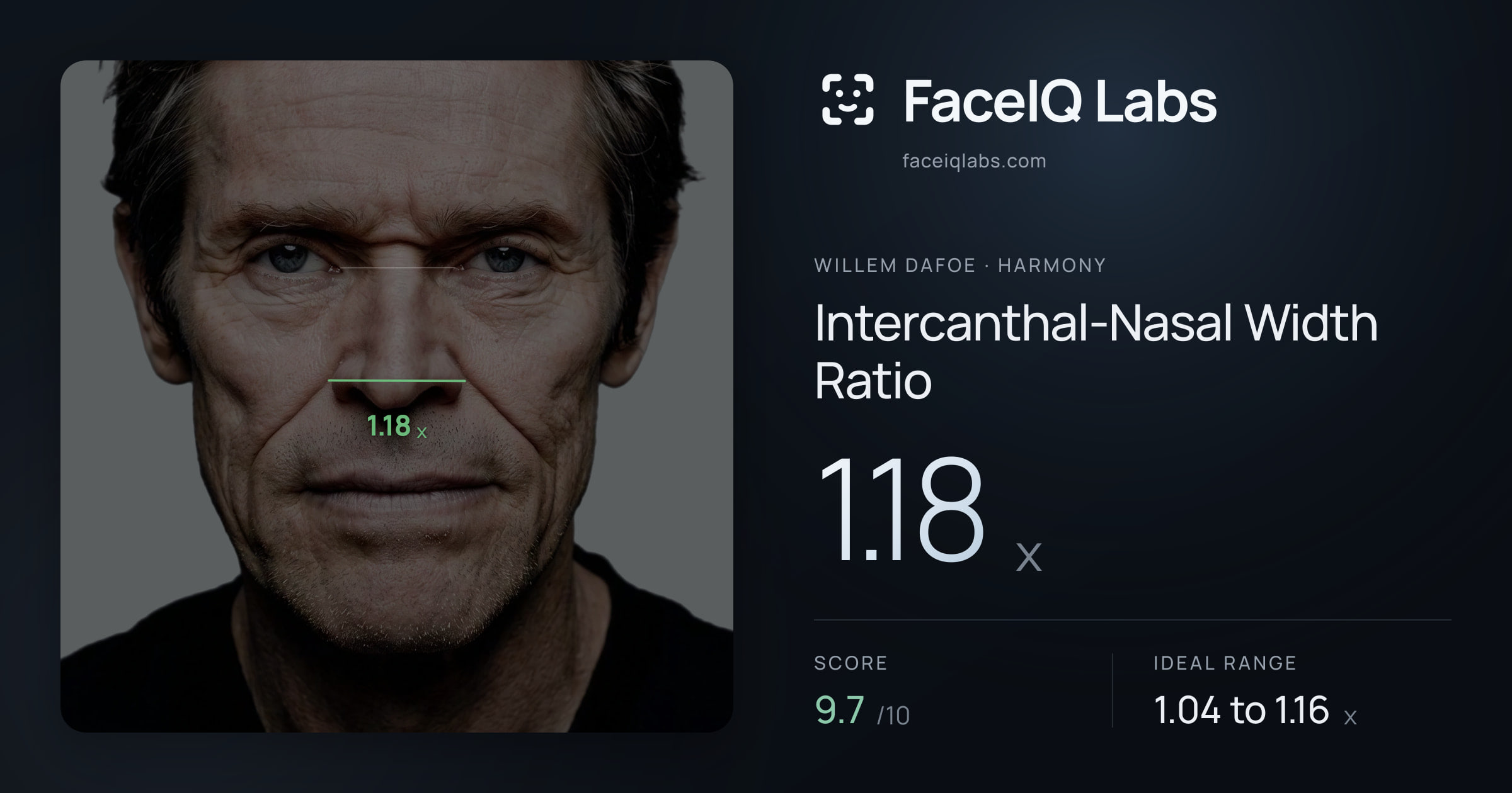 Willem Dafoe Intercanthal-Nasal Width Ratio: 1.18x, drawn on the photo